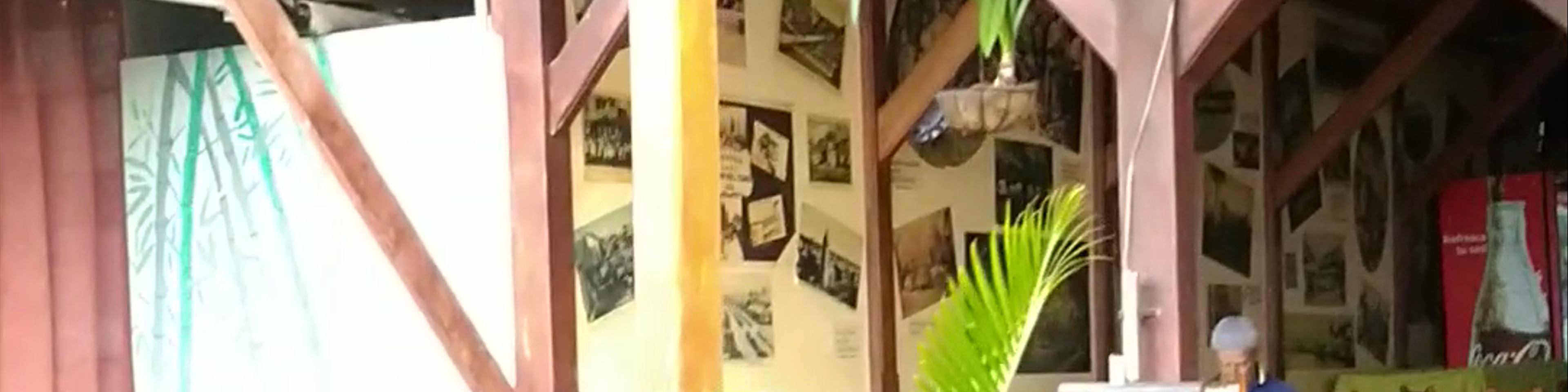 Bocas del Toro