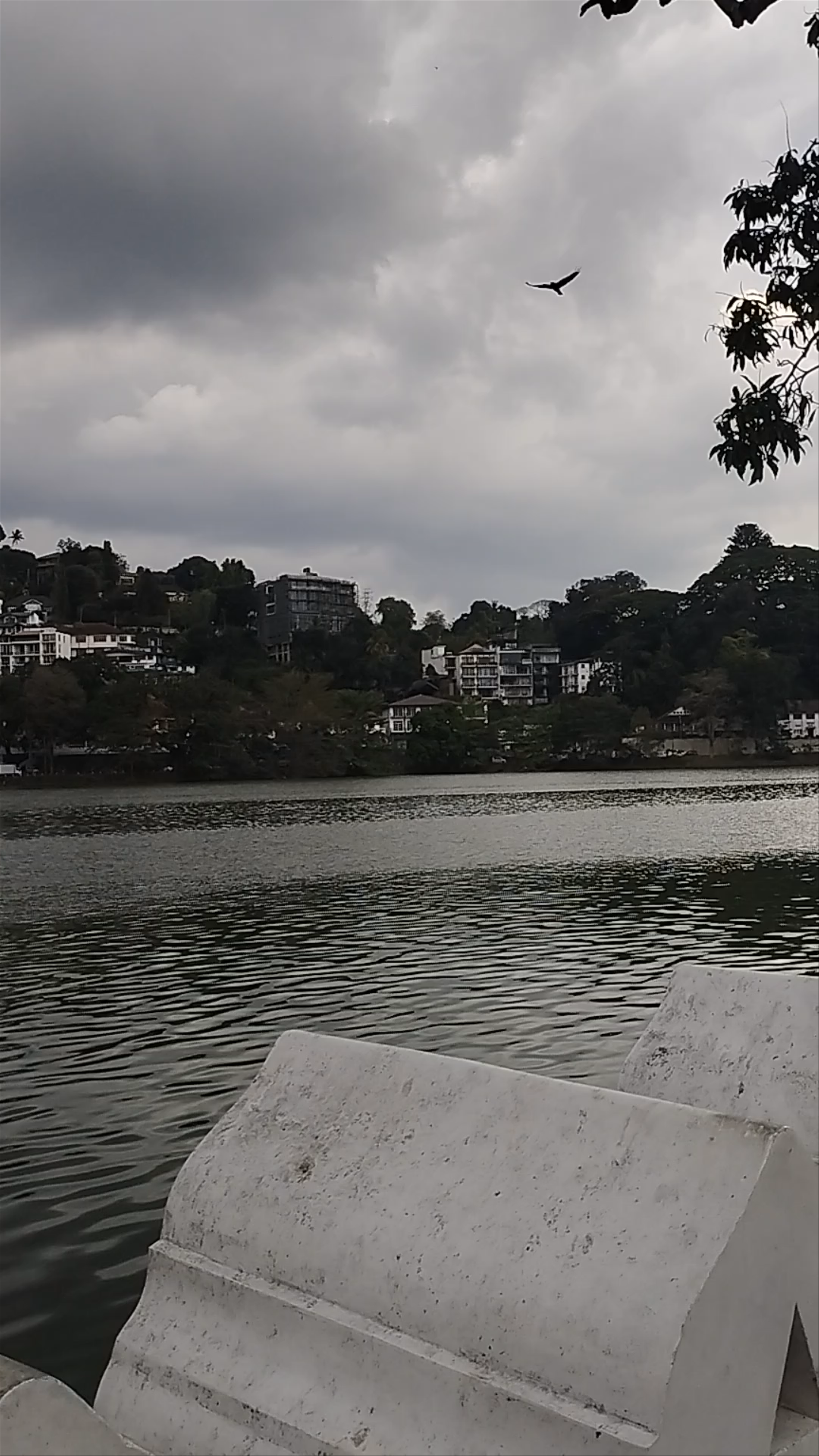 Lake Kandyan