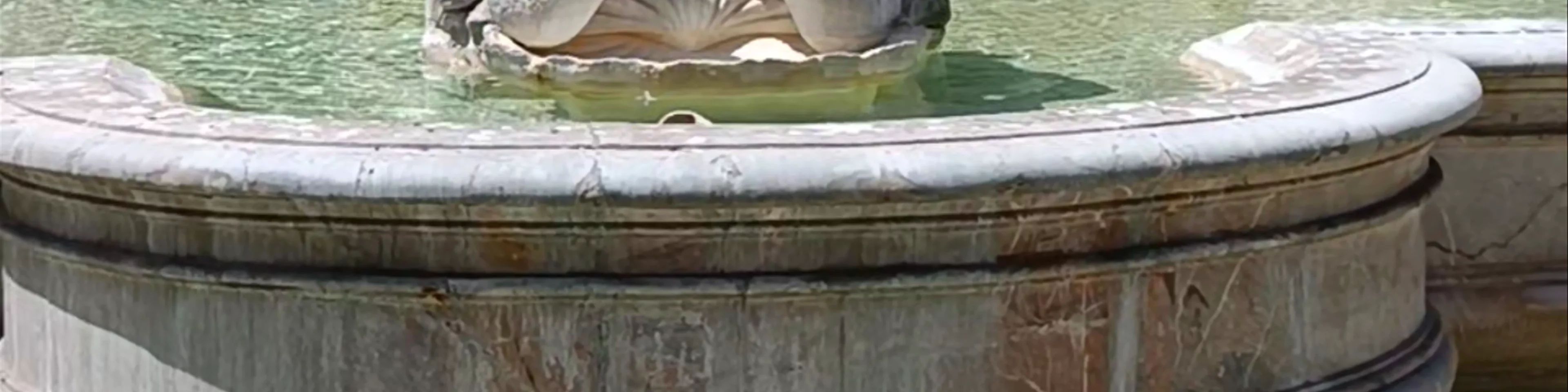 Fontana del Moro