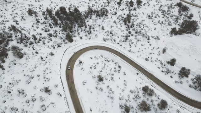 Curvy road in a snow-covered forest 