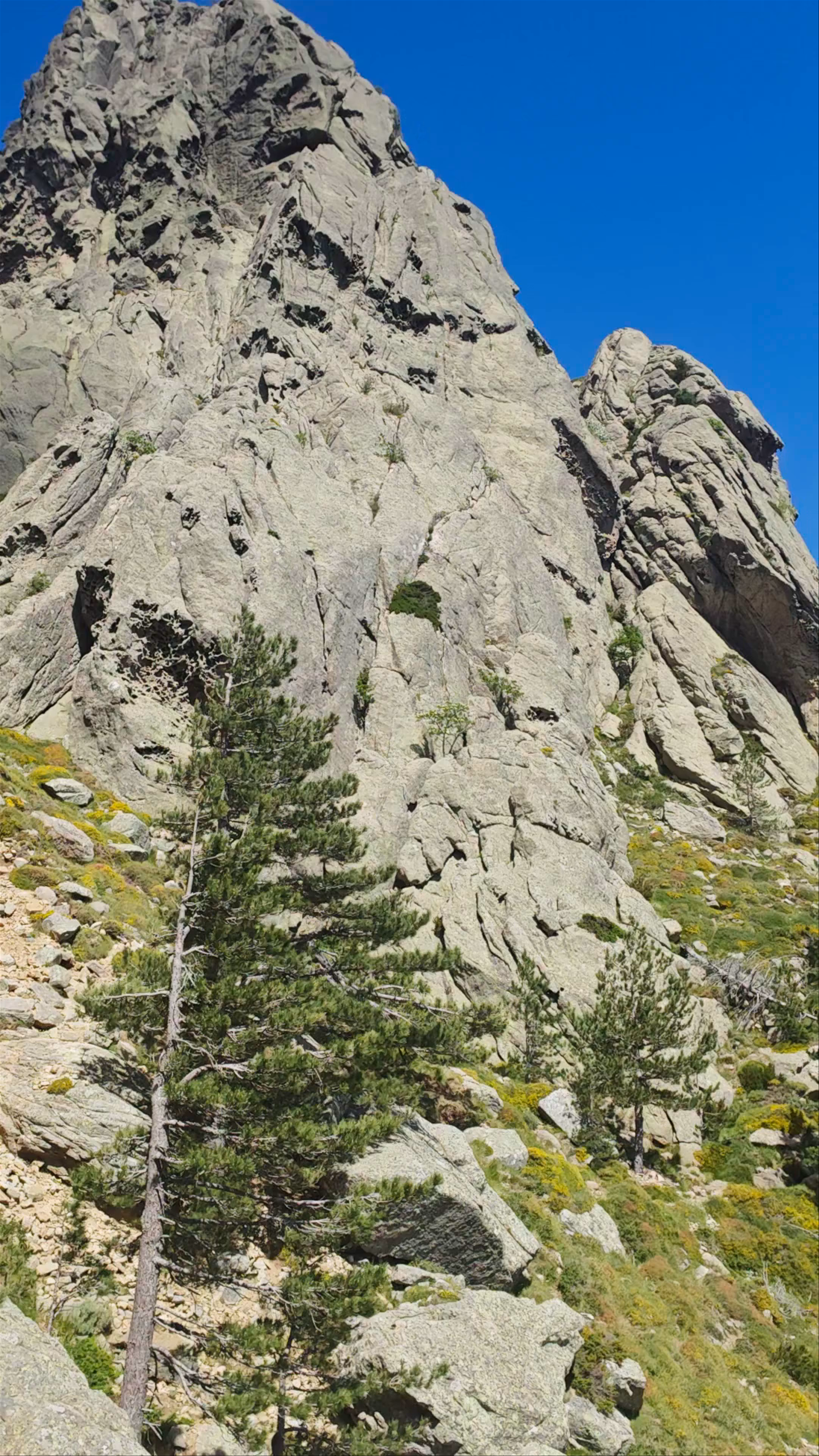 Aiguilles de Bavella