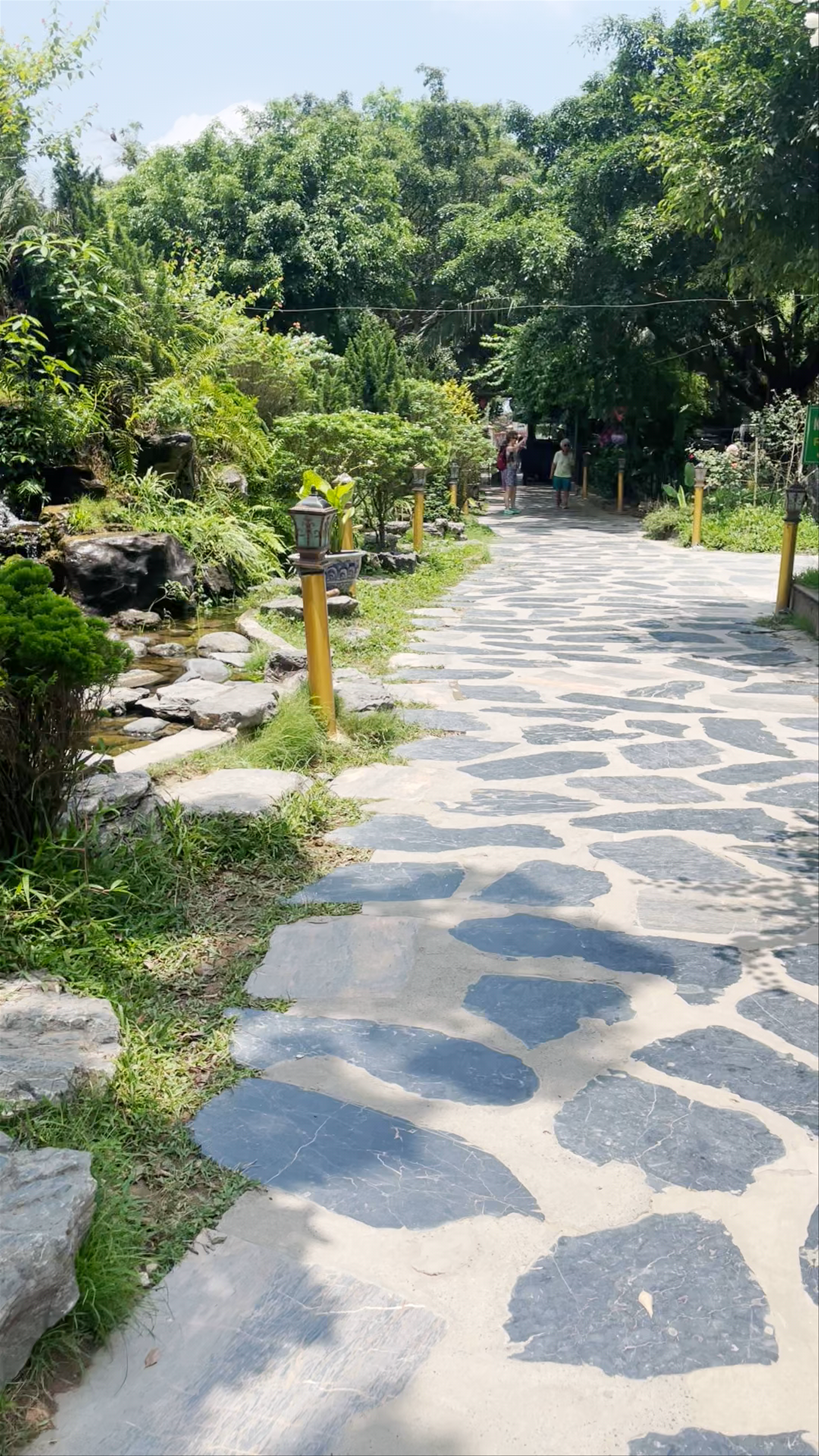 Tranquil Garden Stroll with Waterfall at Hang Múa, Ninh Bình Vietnam