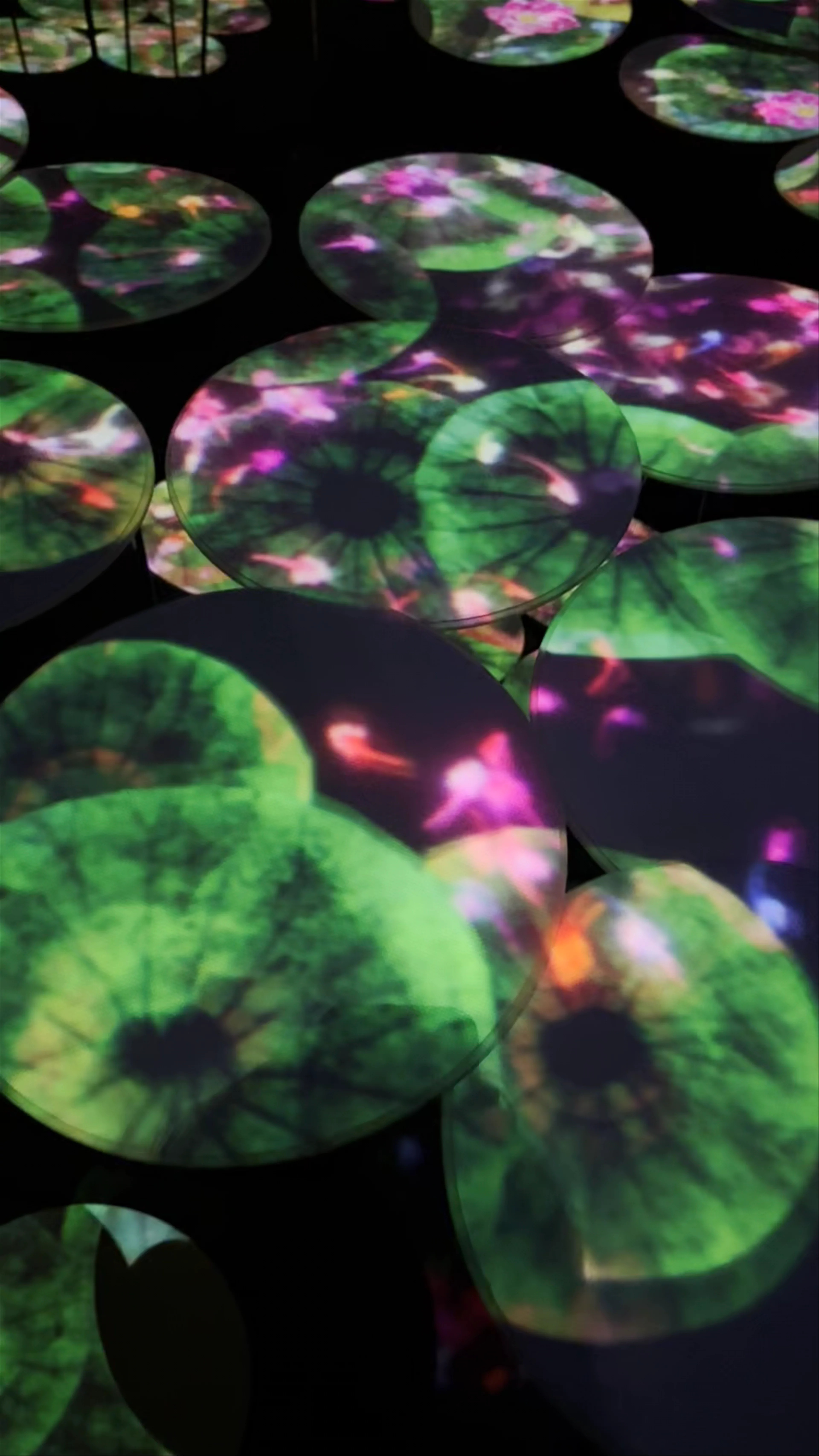 teamLab Borderless, Azabudai, Minato City