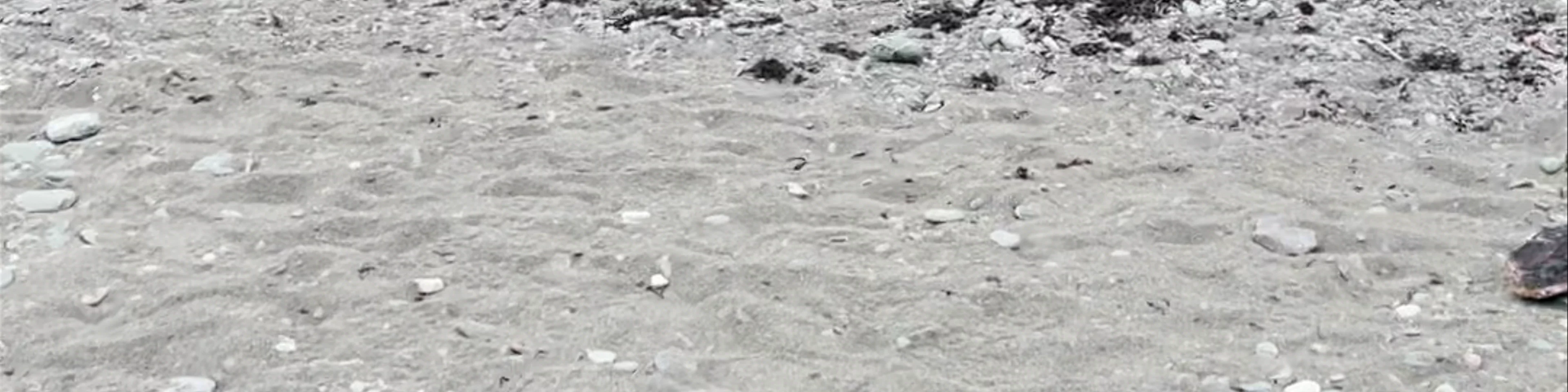 Point Wolfe River Estuary - UNESCO Fundy Biosphere Reserve Amazing Place