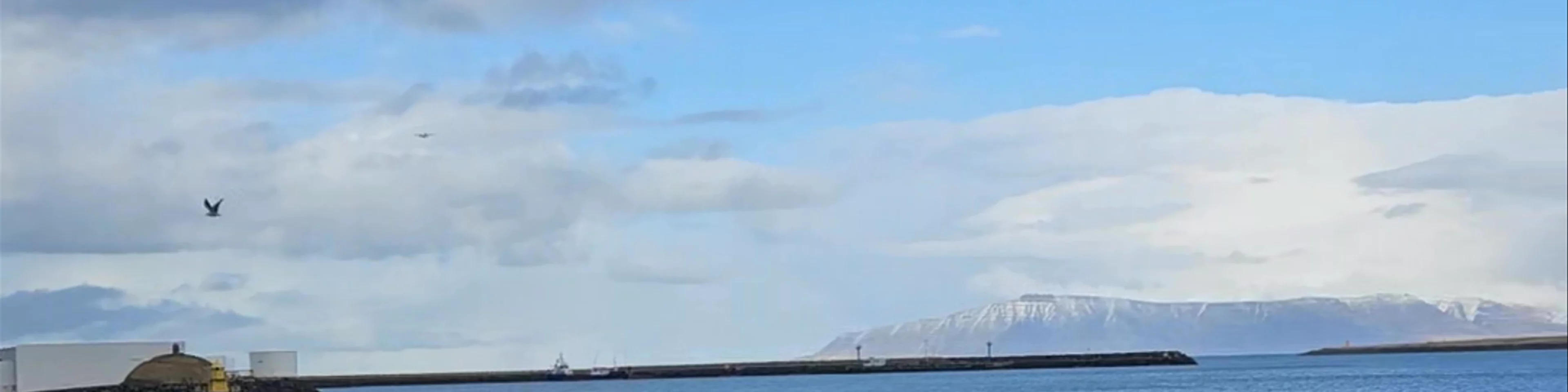 Seaview from Reykjavik