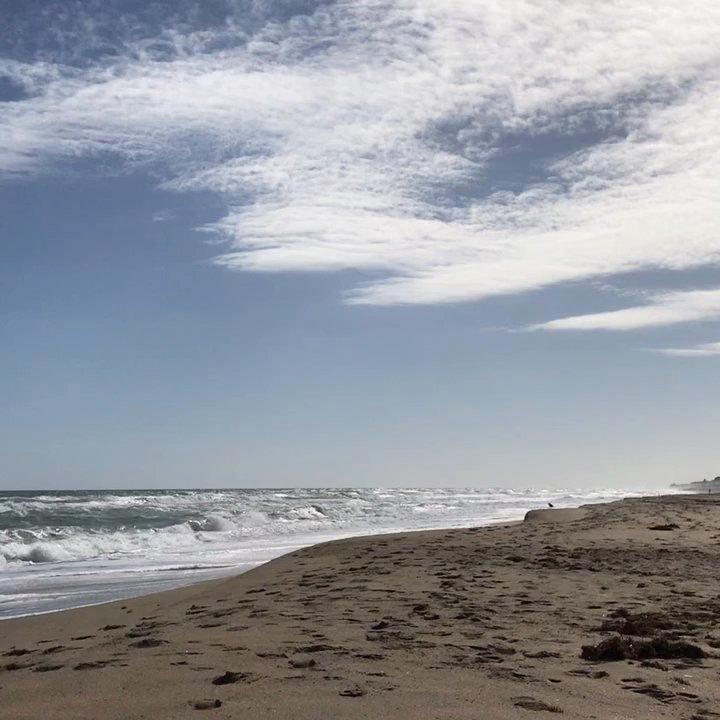 Beachwalk Pasley Beach - Beaches Near Me - Stuart, Florida