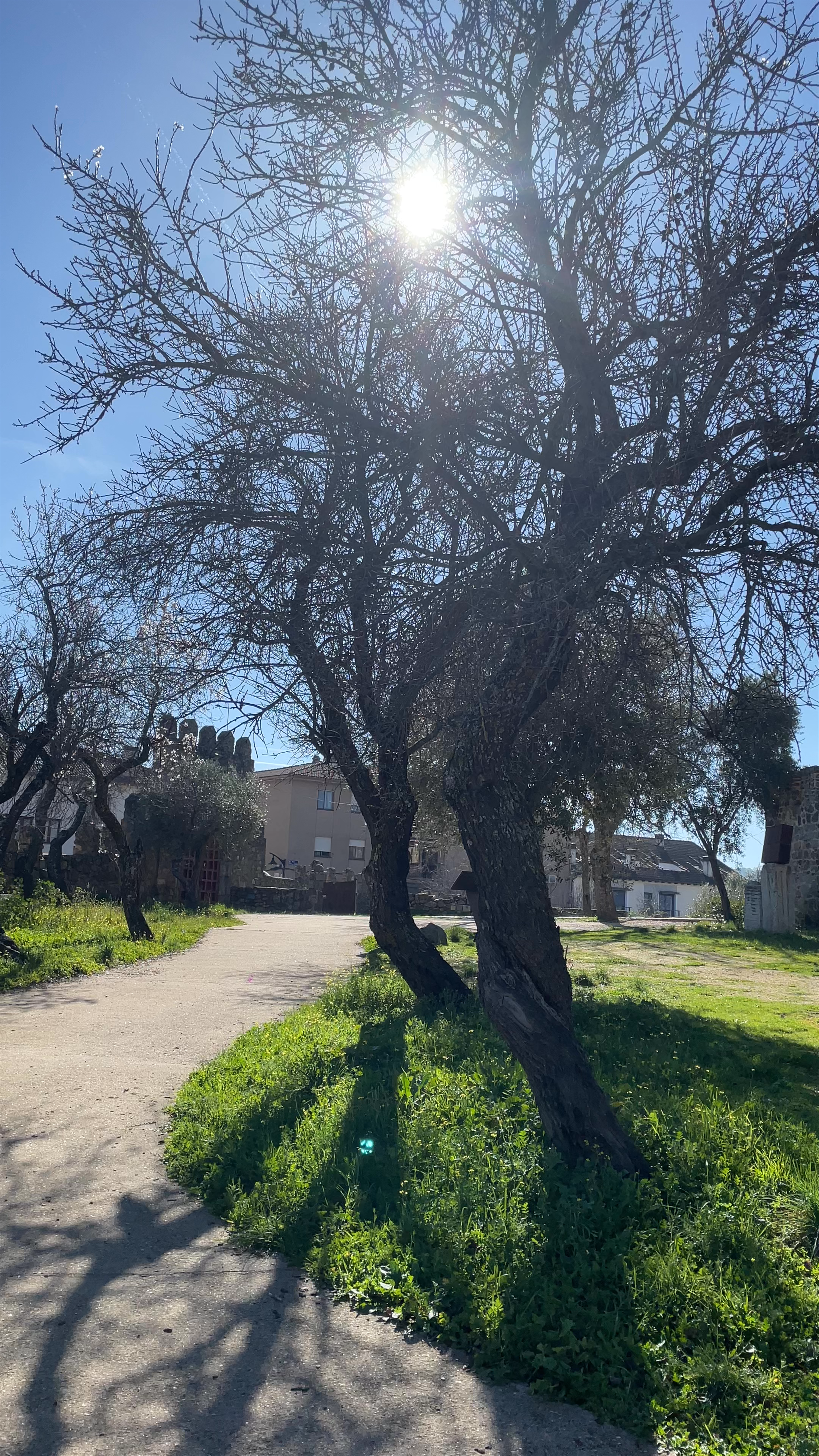 San Martín de Valdeiglesias Town Hall