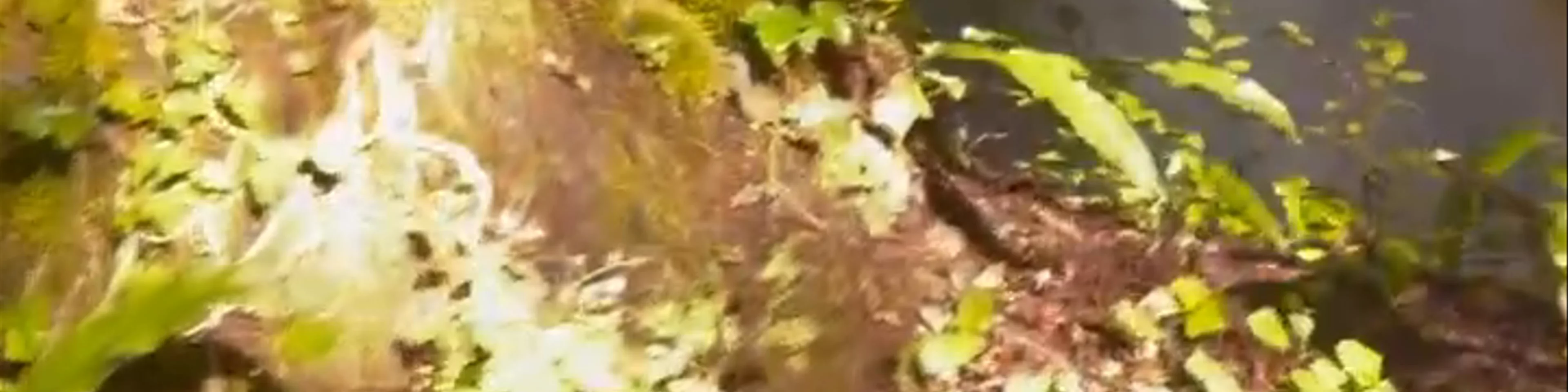 Cascate delle Marmore
