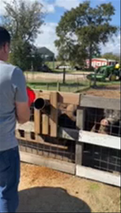 Crowes Nest Farm - Attraction Farms Near Me - Manor, Texas
