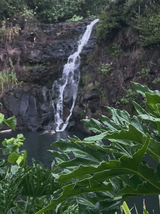 Oahu Photography Tours - Waterfall - Tours Near Me - Honolulu, Hawaii