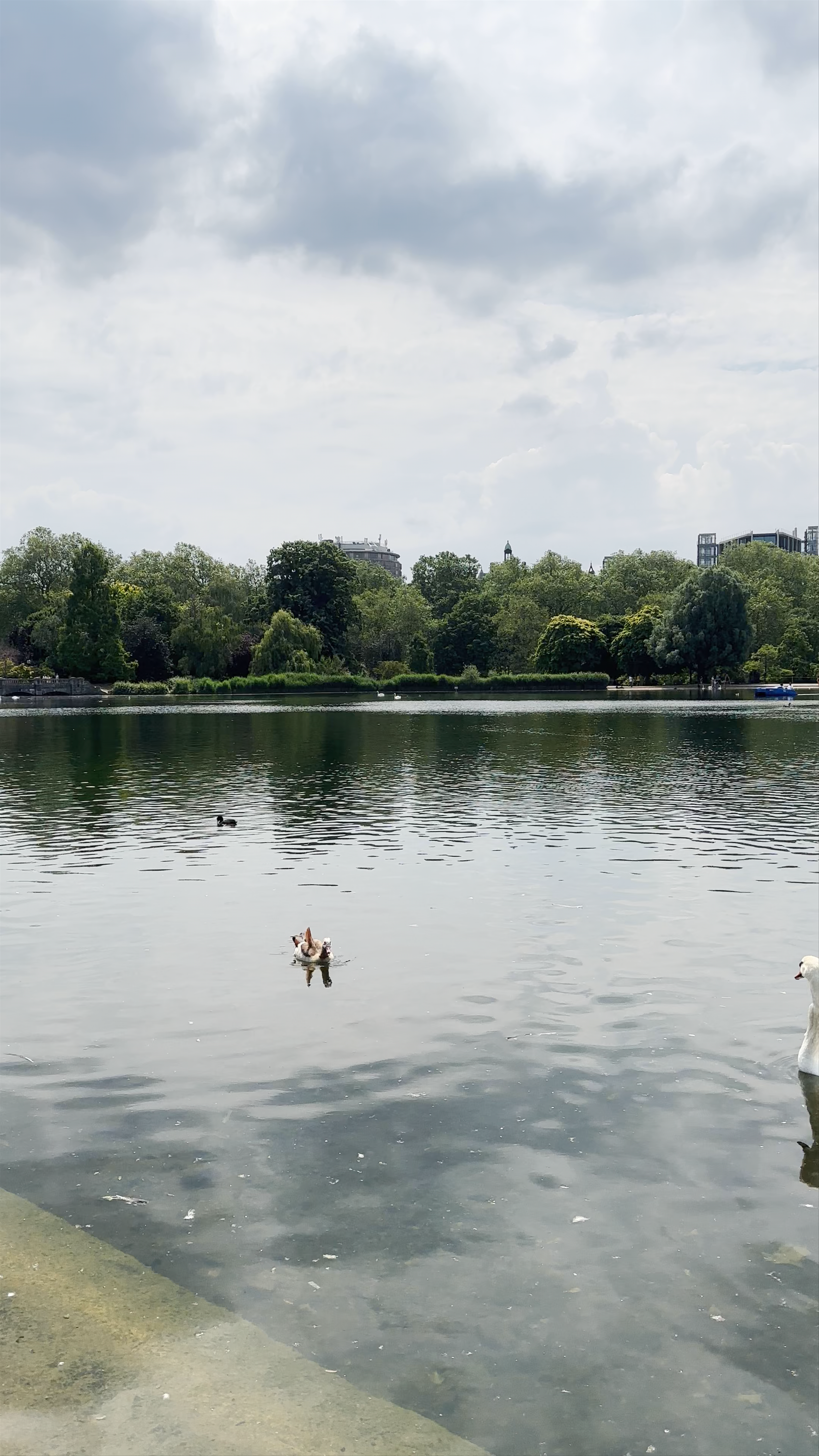 Hyde Park