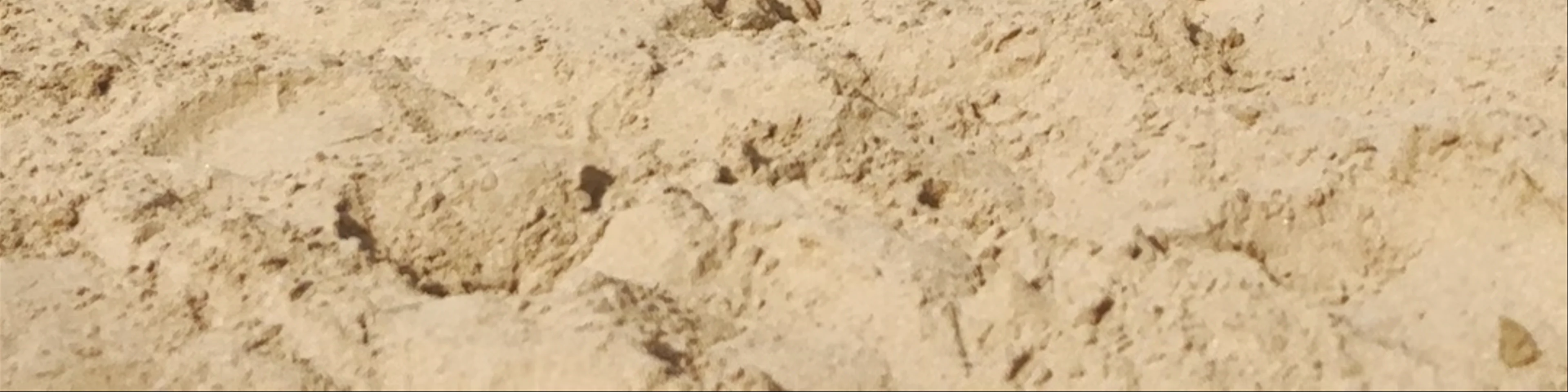 Plage Imourane