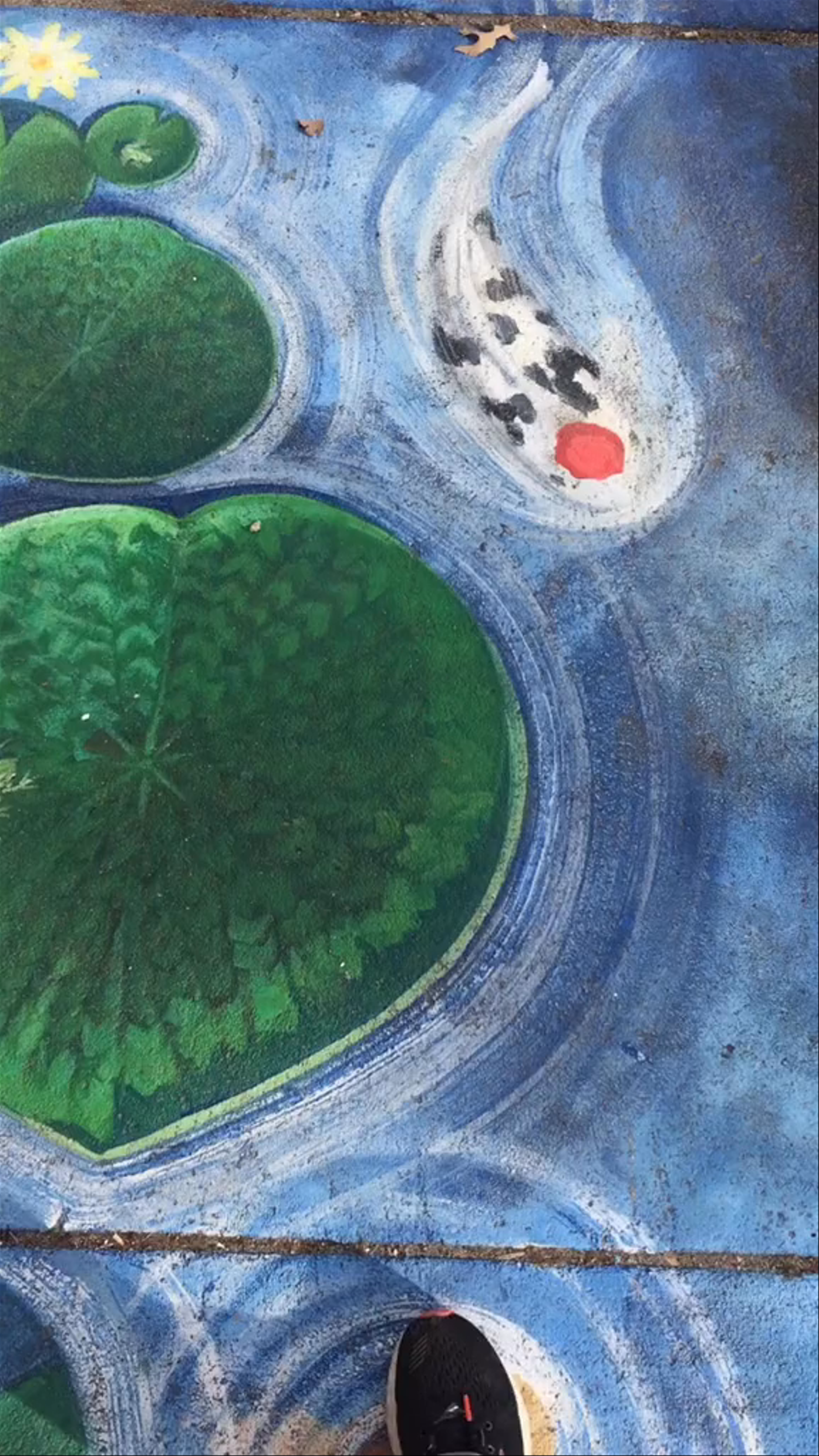 Koi Pond Sidewalk Art at Adams Park, Boston