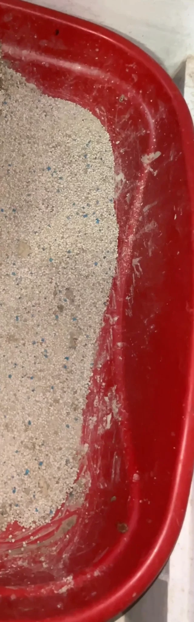 Arena para gatos