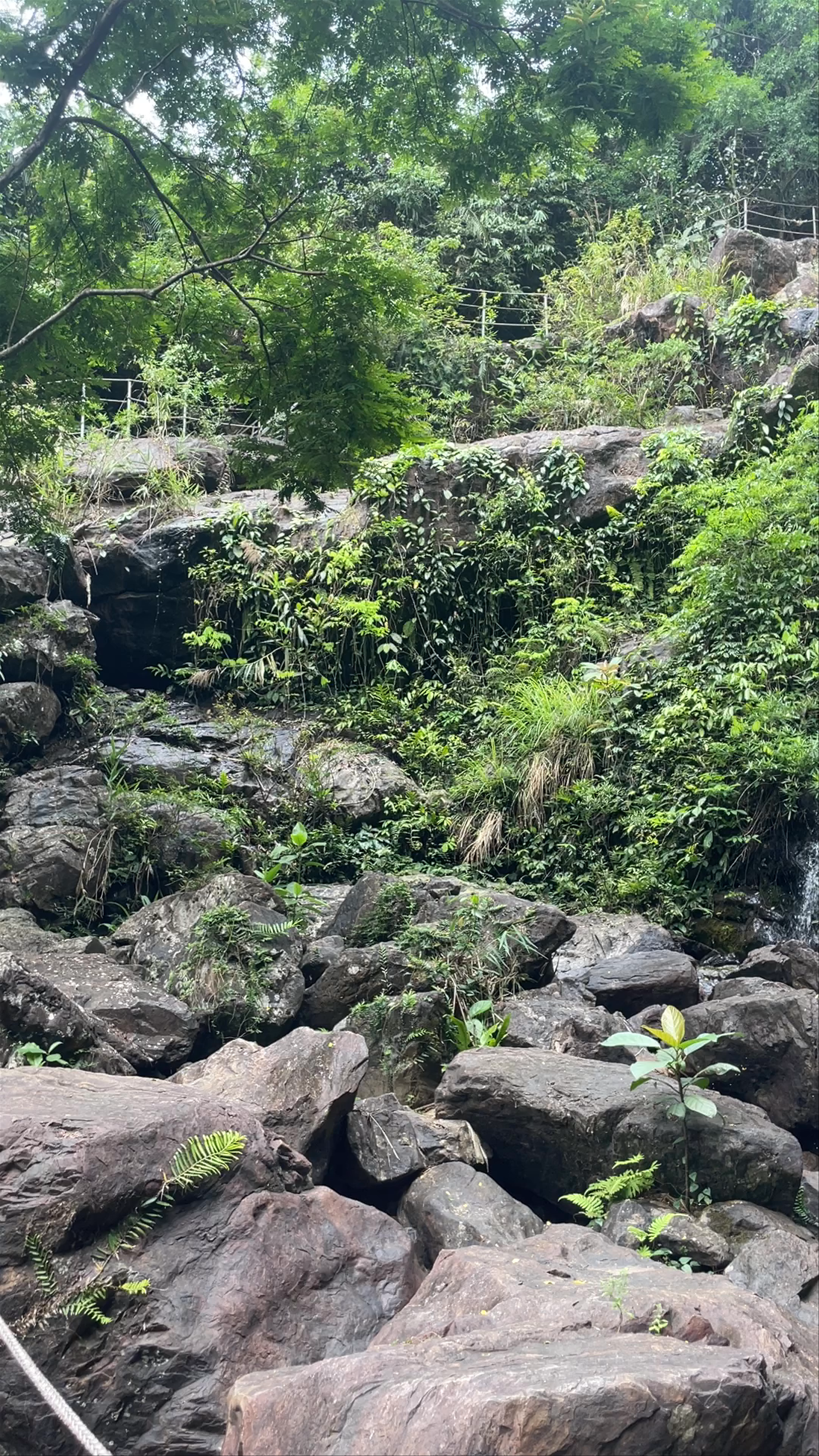 Waterfall
