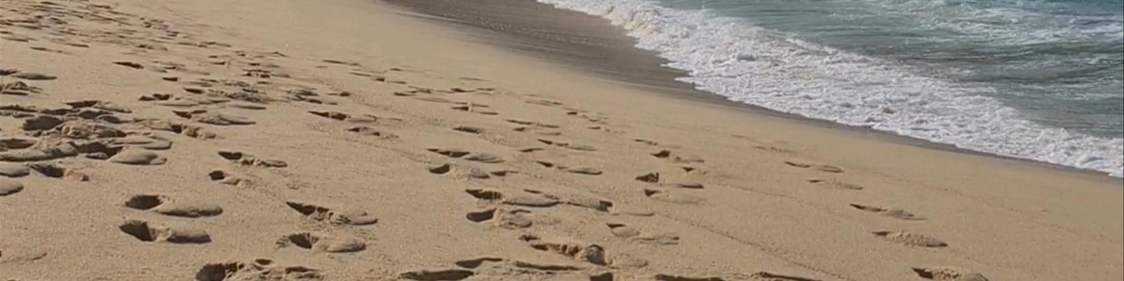 Playa Carrizalillo