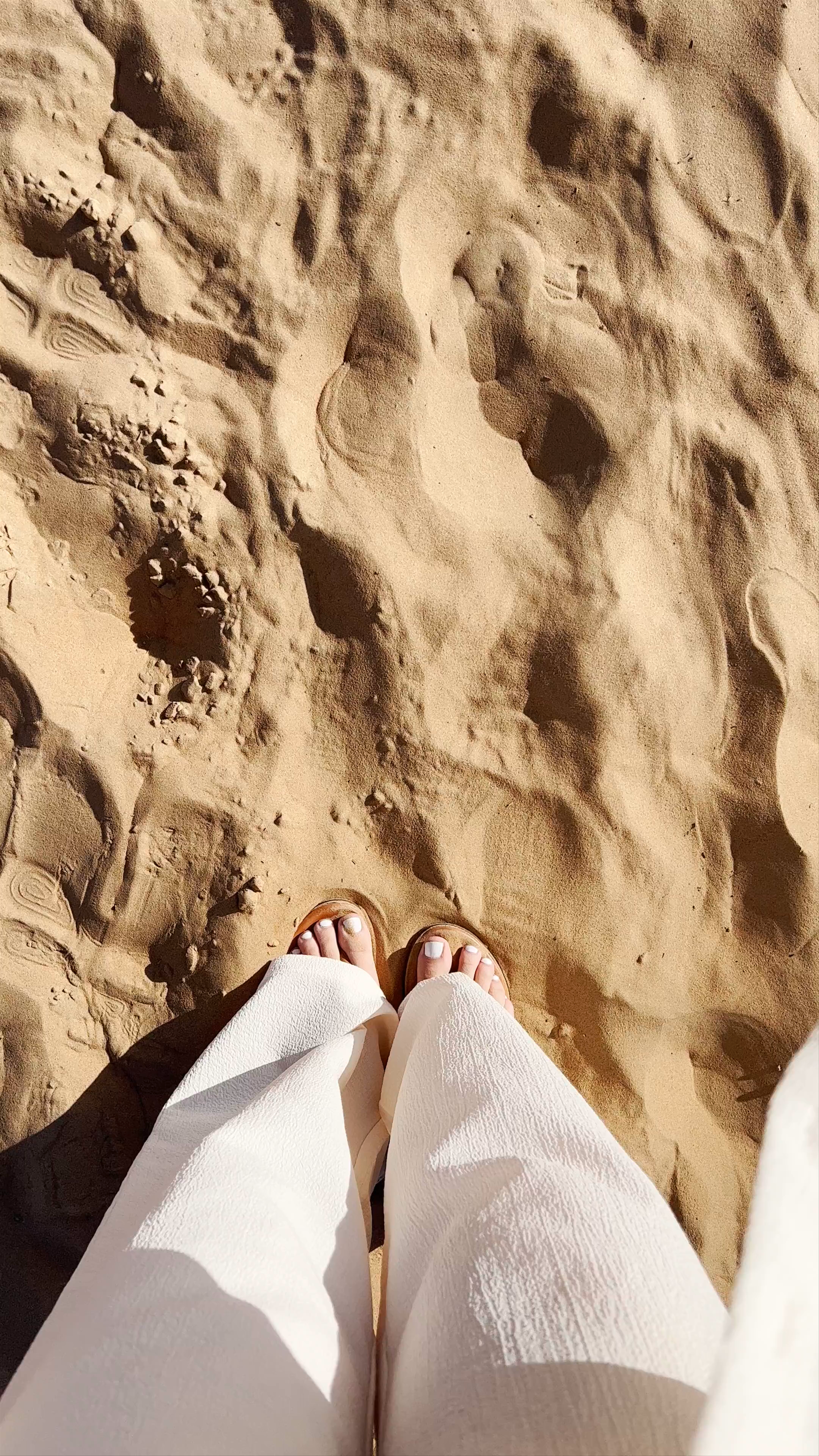 Desert Serenity and Camels at Emirates Tours & Safari LLC - Abu Dhabi