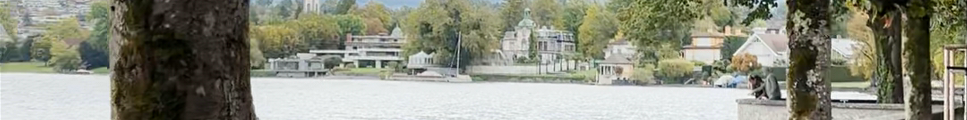 Tours & experiences in Rapperswil