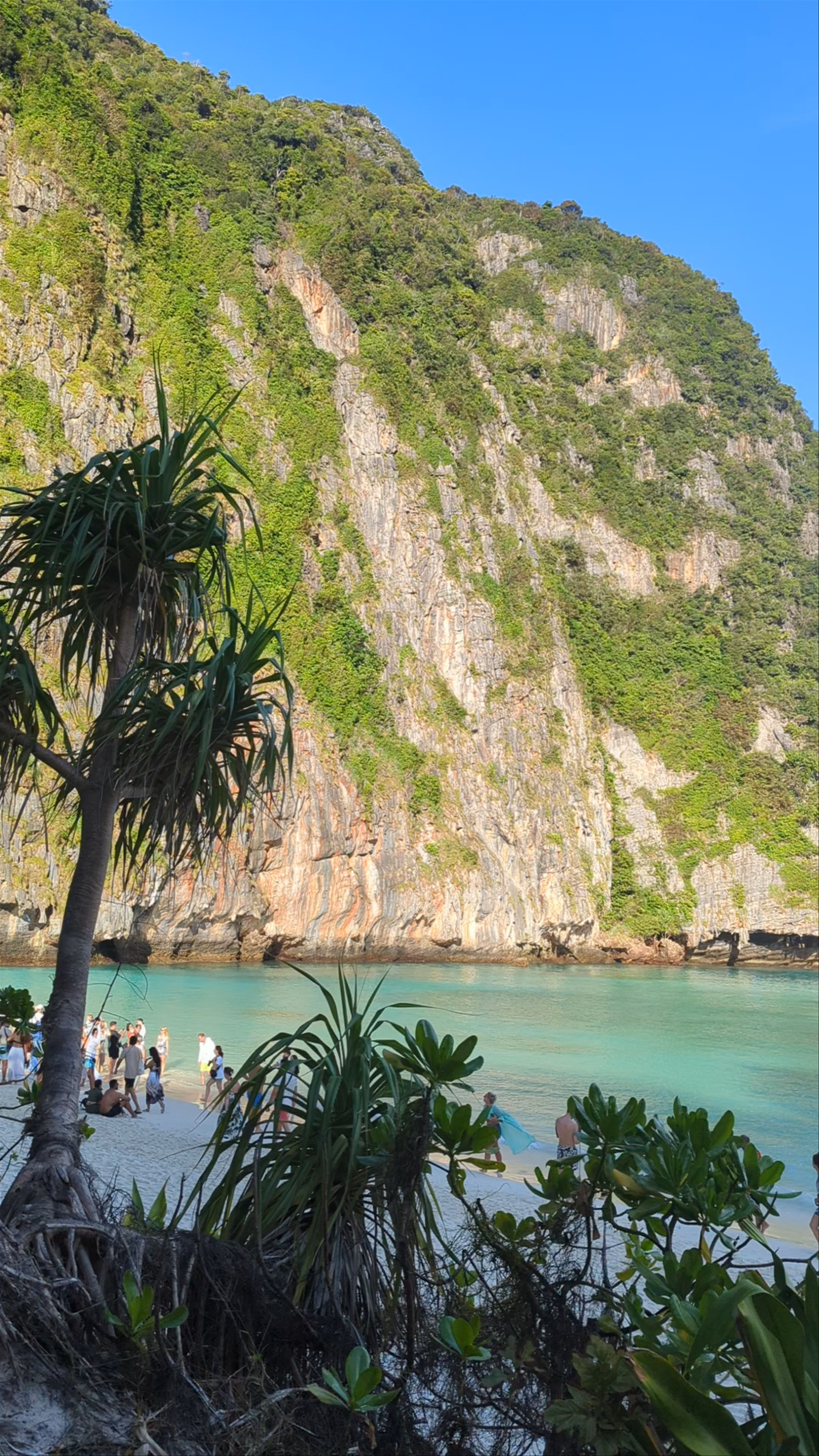 Maya Bay: Stunning Tropical Paradise at Koh Phi Phi Leh, Thailand