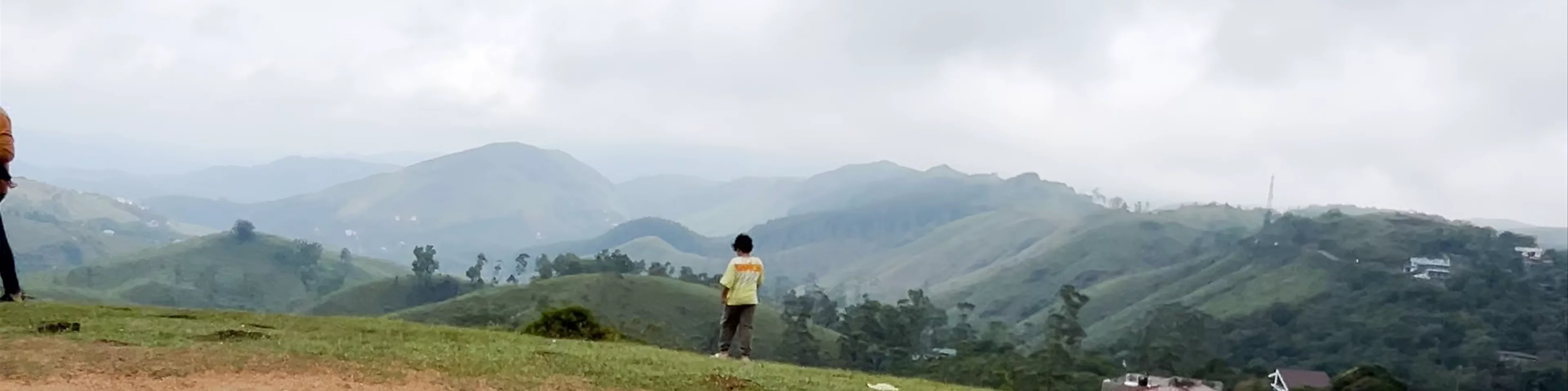 Vagamon Meadows