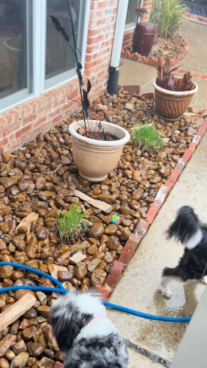 Texas Landscape Creations - Big rain with great drainage! - Landscaping Near Me - College Station, Texas