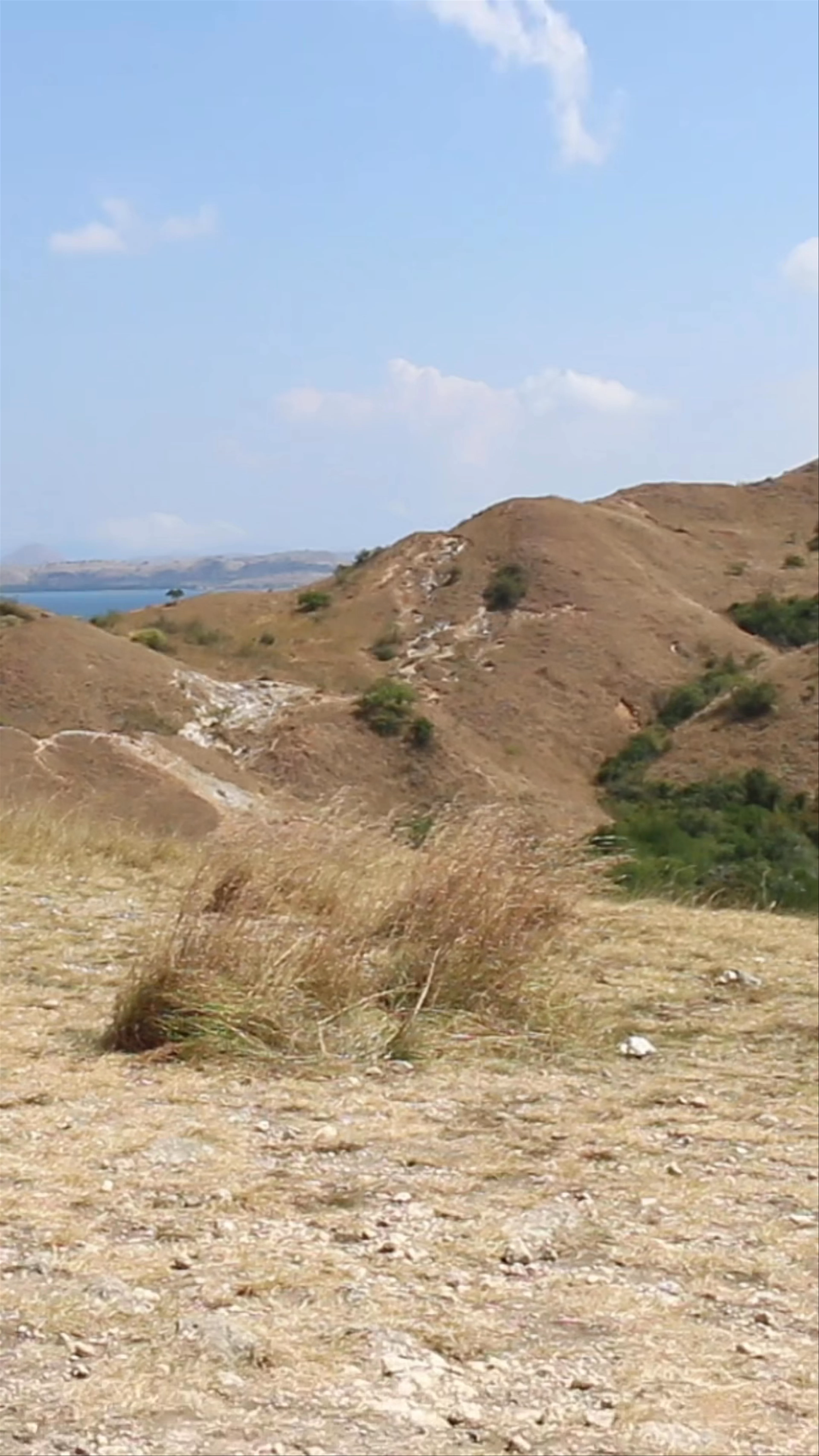 Rinca, Pasir Panjang, West Manggarai Regency, East Nusa Tenggara
