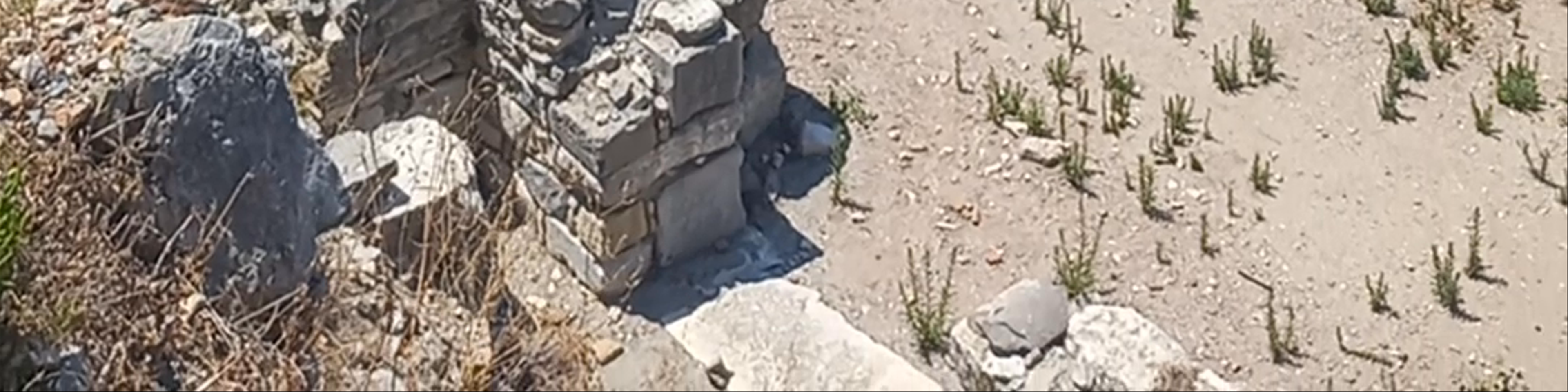 Selçuk