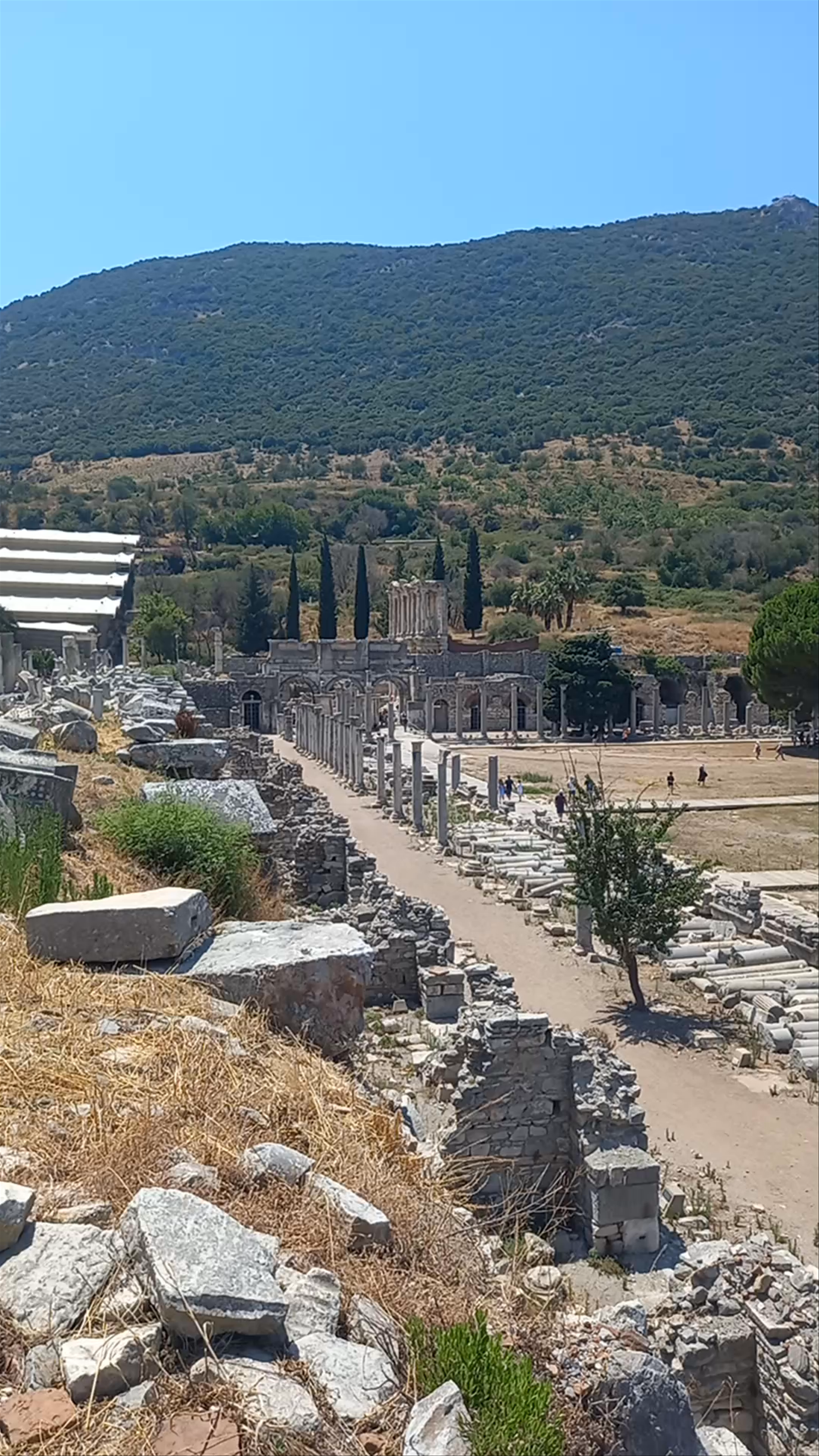 Acarlar Ancient Greek Agora: Step into History in Selçuk, İzmir