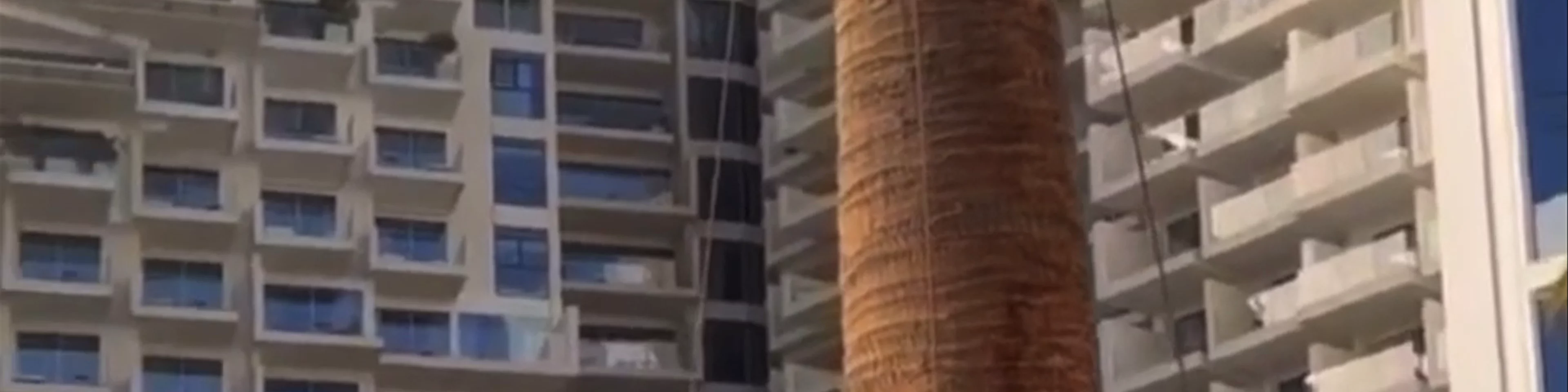 JA Ocean View Hotel - The Walk - Dubai - United Arab Emirates