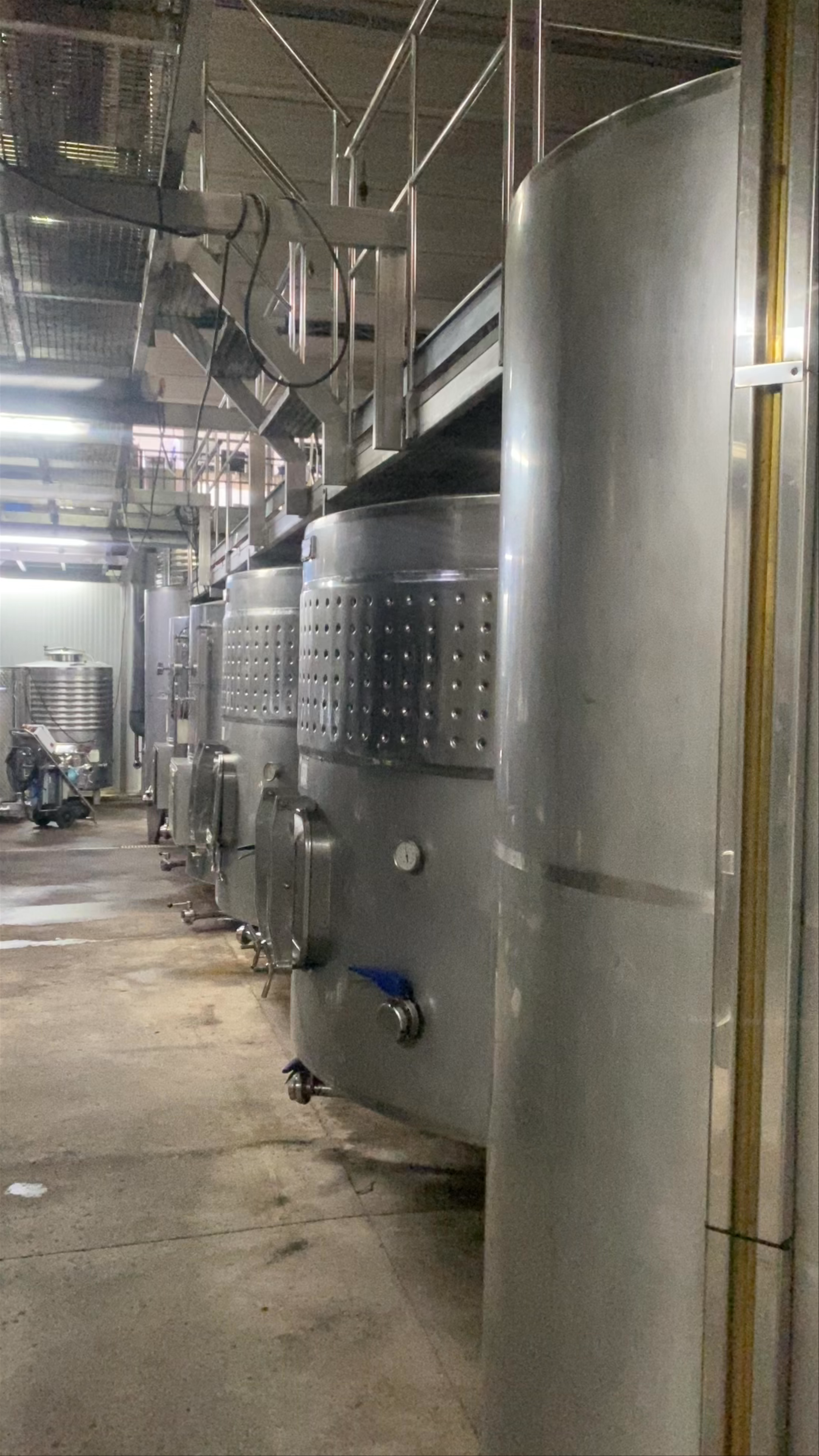 Bodegas Vega de Yuco: Inside Lanzarote’s Artisanal Winery