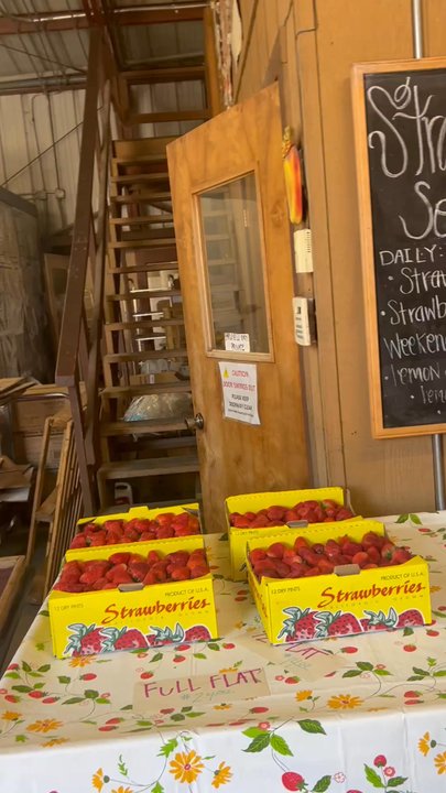 Gizdich Ranch - Strawberry stand - Bakeries Near Me - Watsonville, California