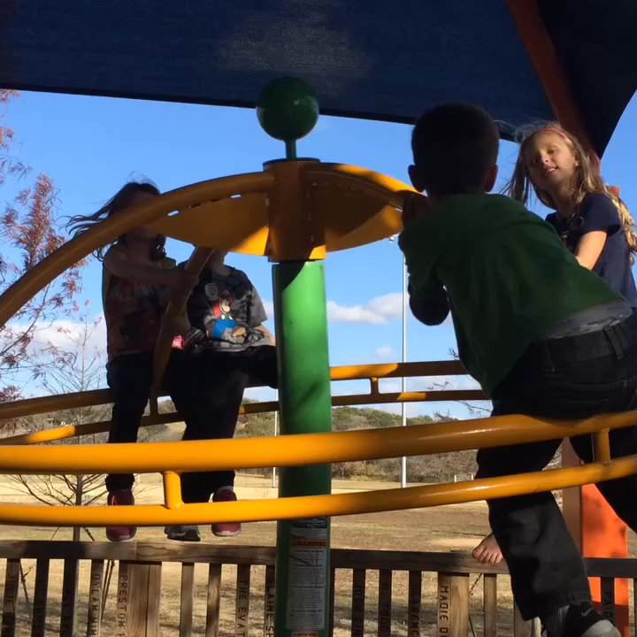 Lion's Park - Playgrounds Near Me - Temple, Texas