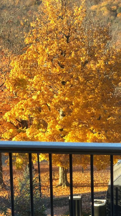 Scribner's Catskill Lodge - Hotels Near Me - Hunter, New York