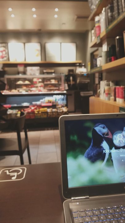 Starbucks - Inside view. - Coffee & Tea Near Me - Pittsburg, California