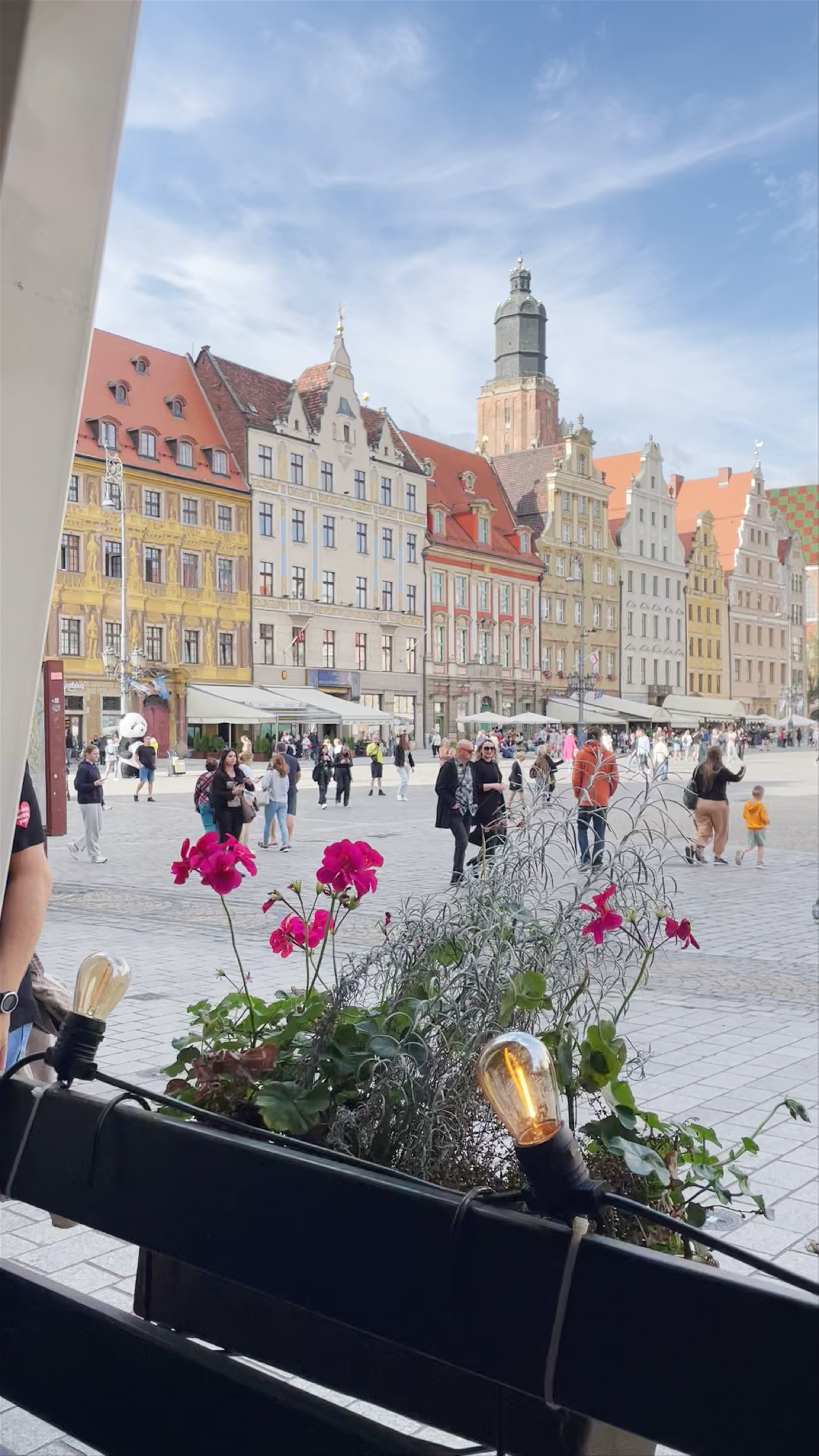 Rynek Wrocławski: Vibrant Heartbeat of Wrocław's Old Town