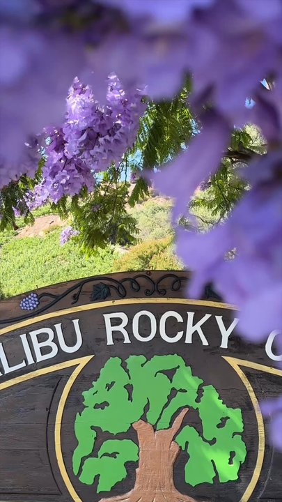 Invite Only Events - Malibu sunset proposal - Party & Event Planning Near Me