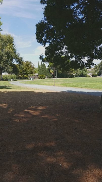 Ygnacio Valley Park - Parks Near Me - Concord, California