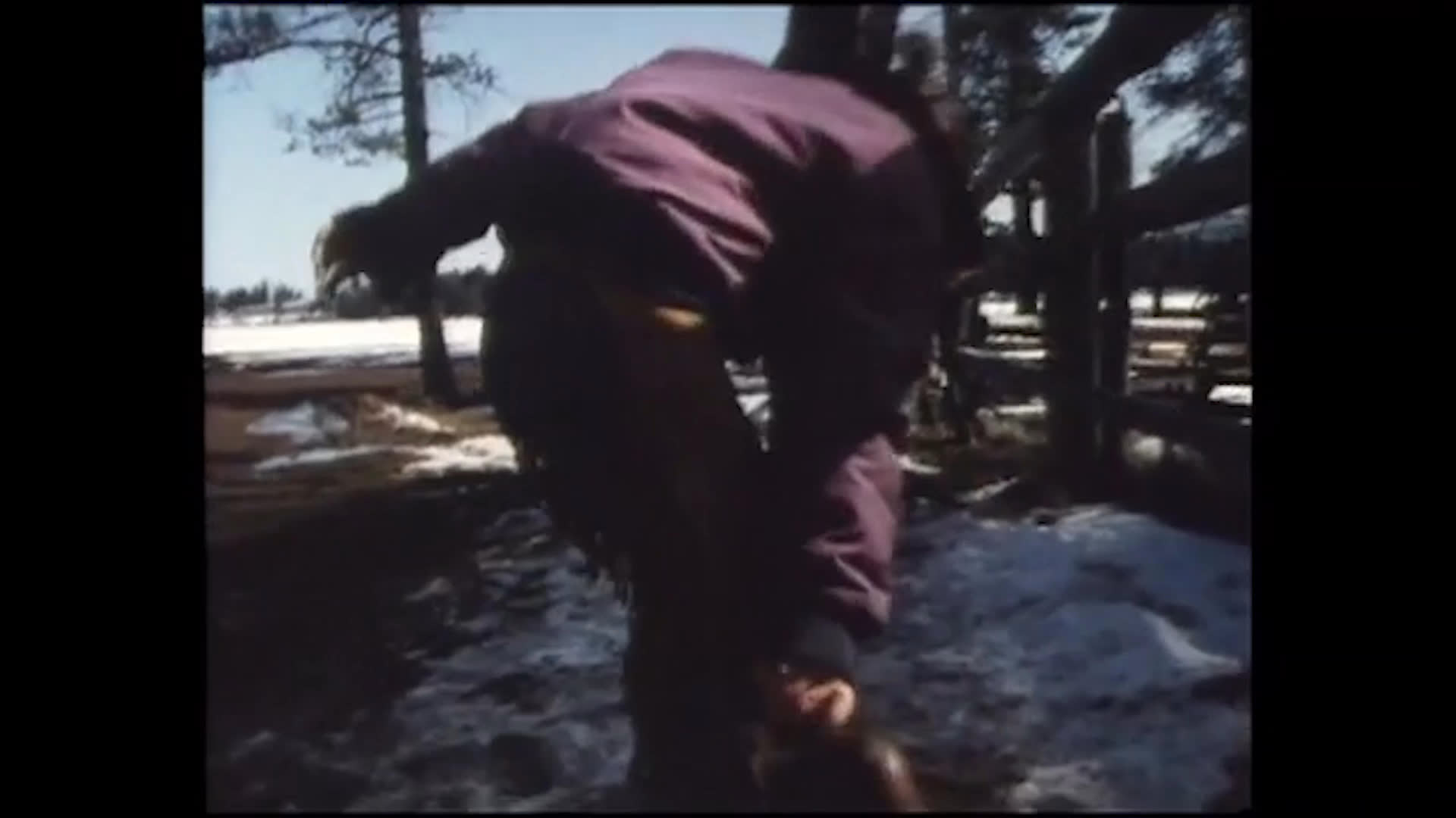 A young girl talks about how happy the rodeo makes her. Nearby, a person handles a horse in a snowy corral, and a child stands beside and touches the animal.