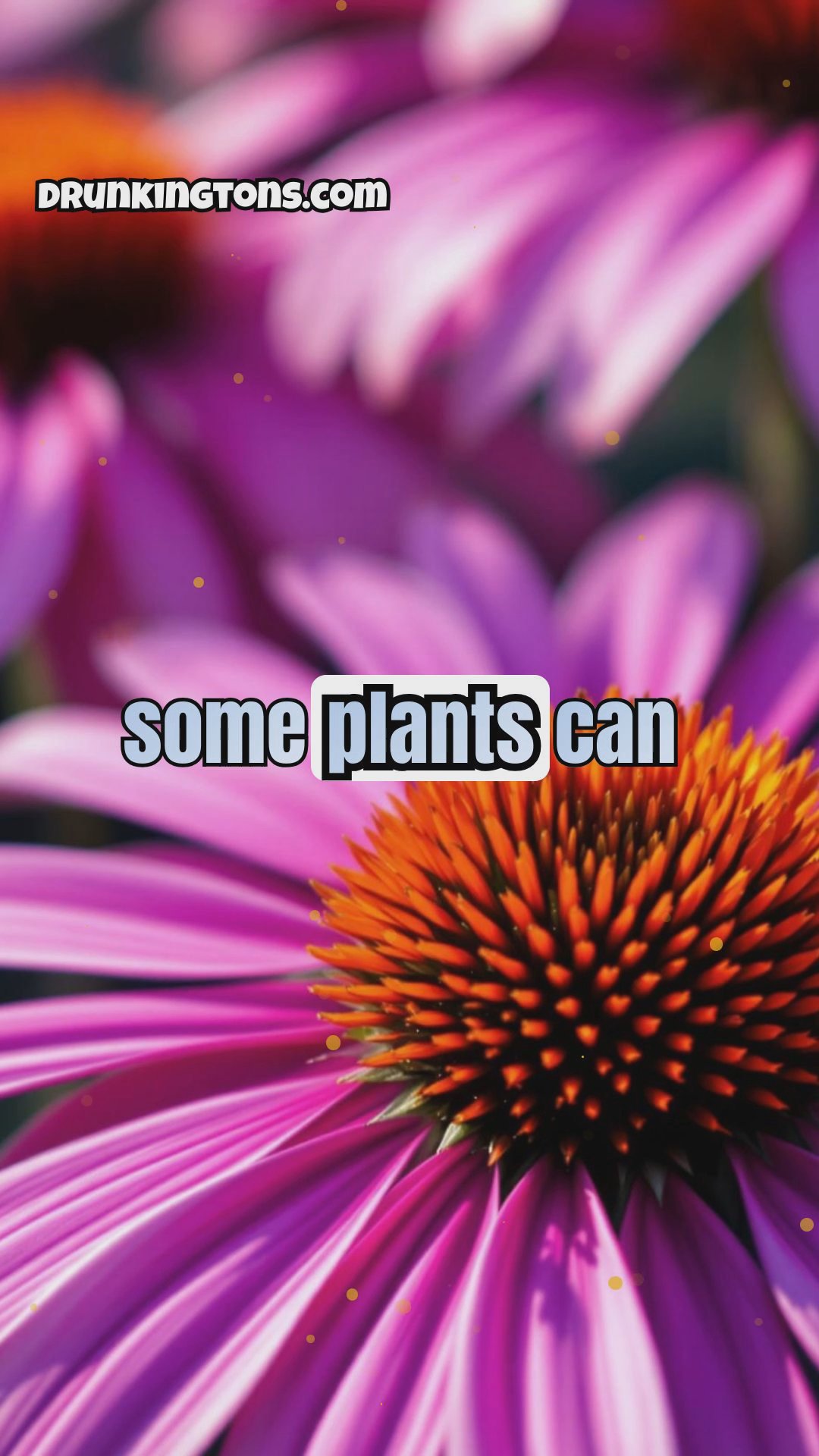 The Power of Plants: From Medicinal Herbs to Carnivorous Species