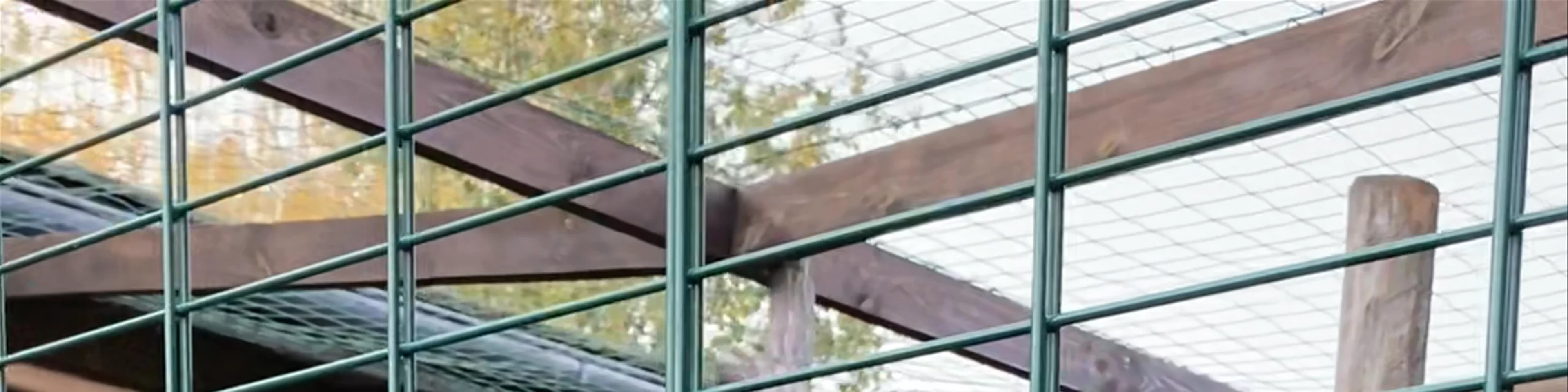 Zoo Wojciechów