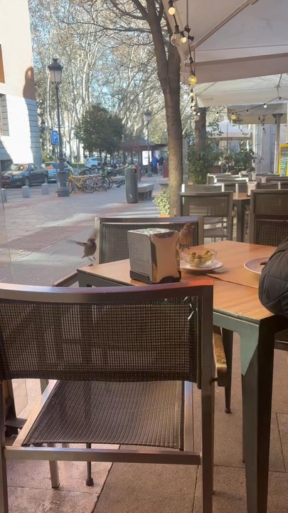 La Platería - Spanish Near Me - Madrid, M