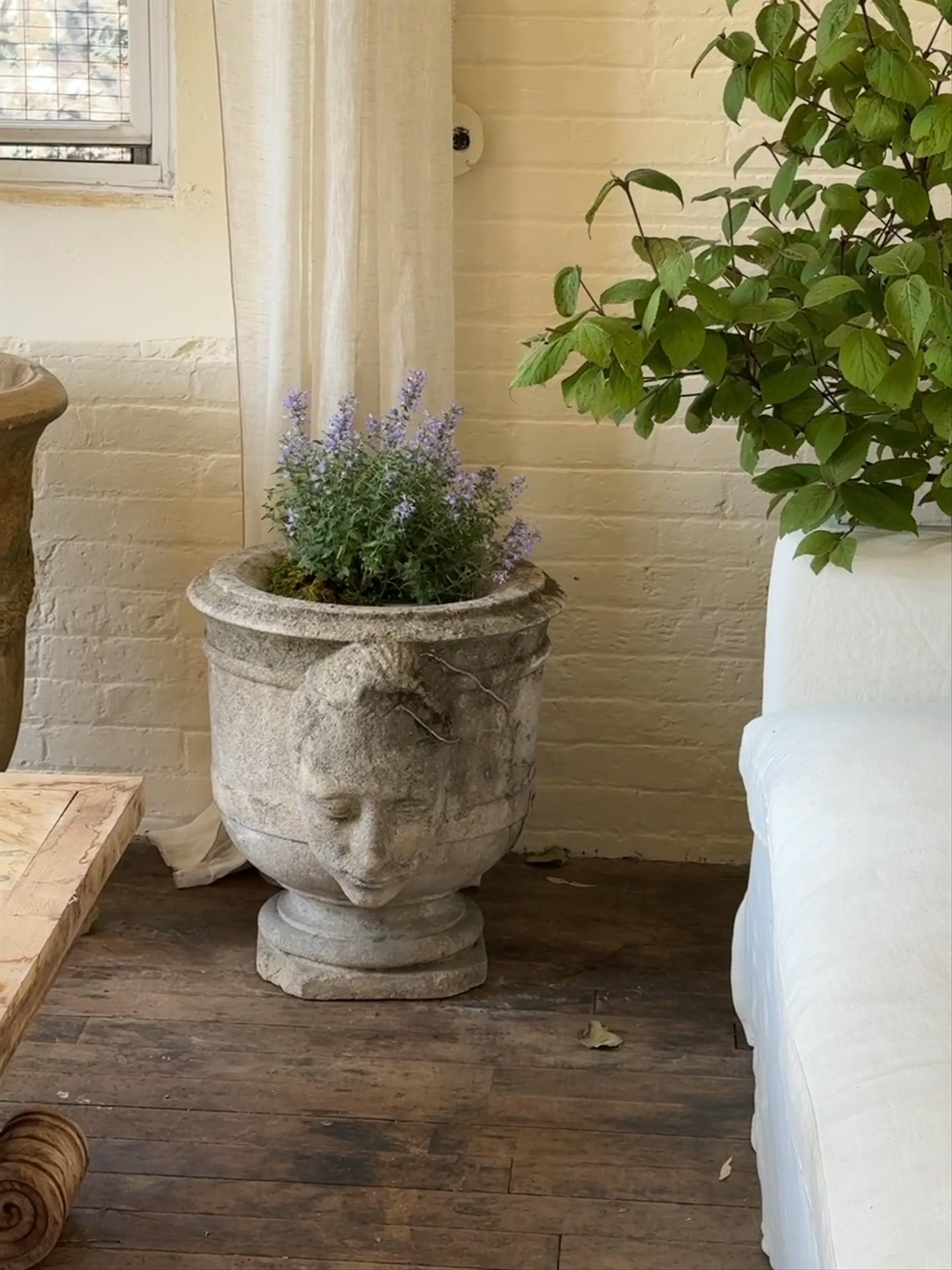 The Gemini Planter