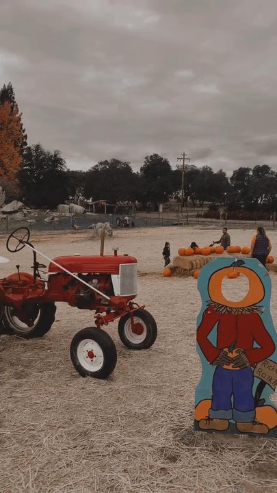 Rickey Ranch Pumpkin Patch - Pumpkin Patches Near Me - Granite Bay, California