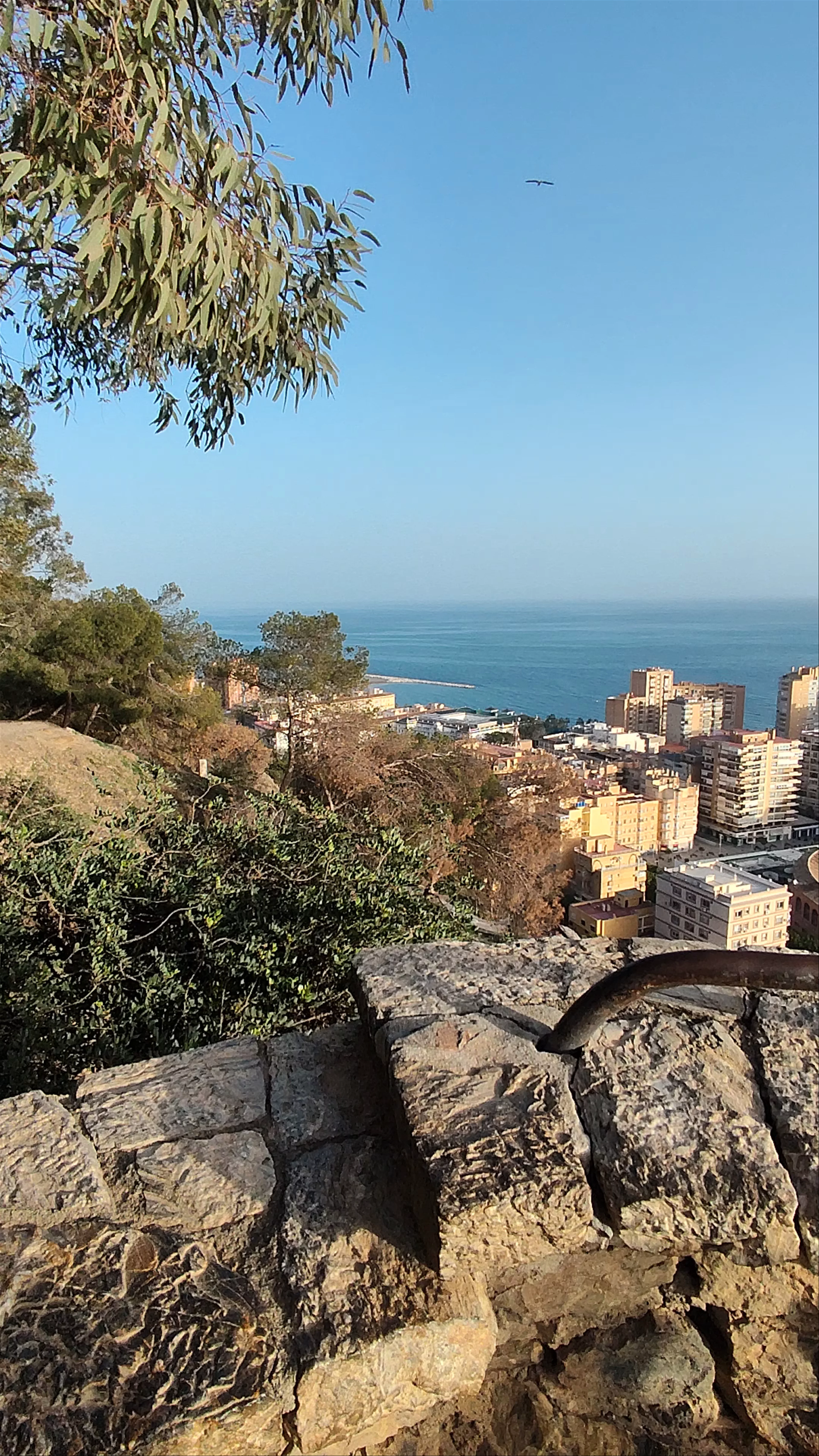 Mirador de Gibralfaro, Camino Gibralfaro, Málaga, Spain
