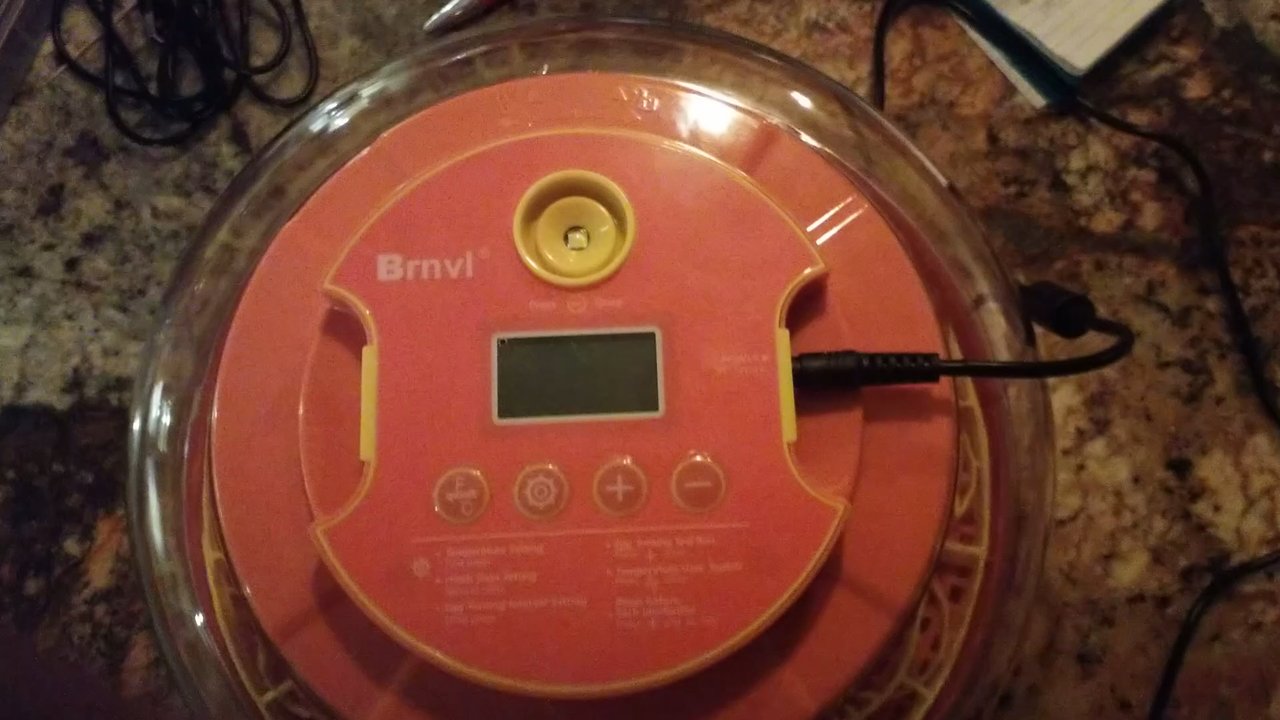 Nellis Auction - "New" egg incubator - Auction Houses Near Me - Phoenix, Arizona