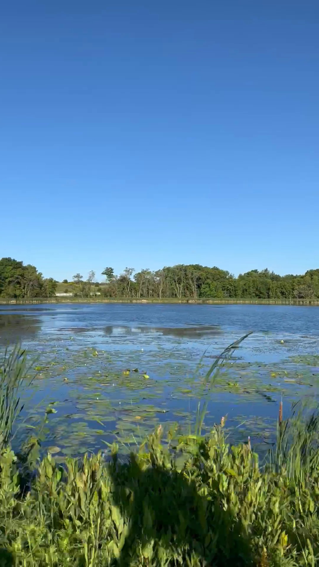 Who Flung Dung 💩 jiayoulife Strava Cyclist Profile