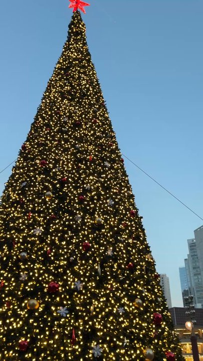 Macy's Christmas Tree - Local Flavor Near Me - San Francisco, California