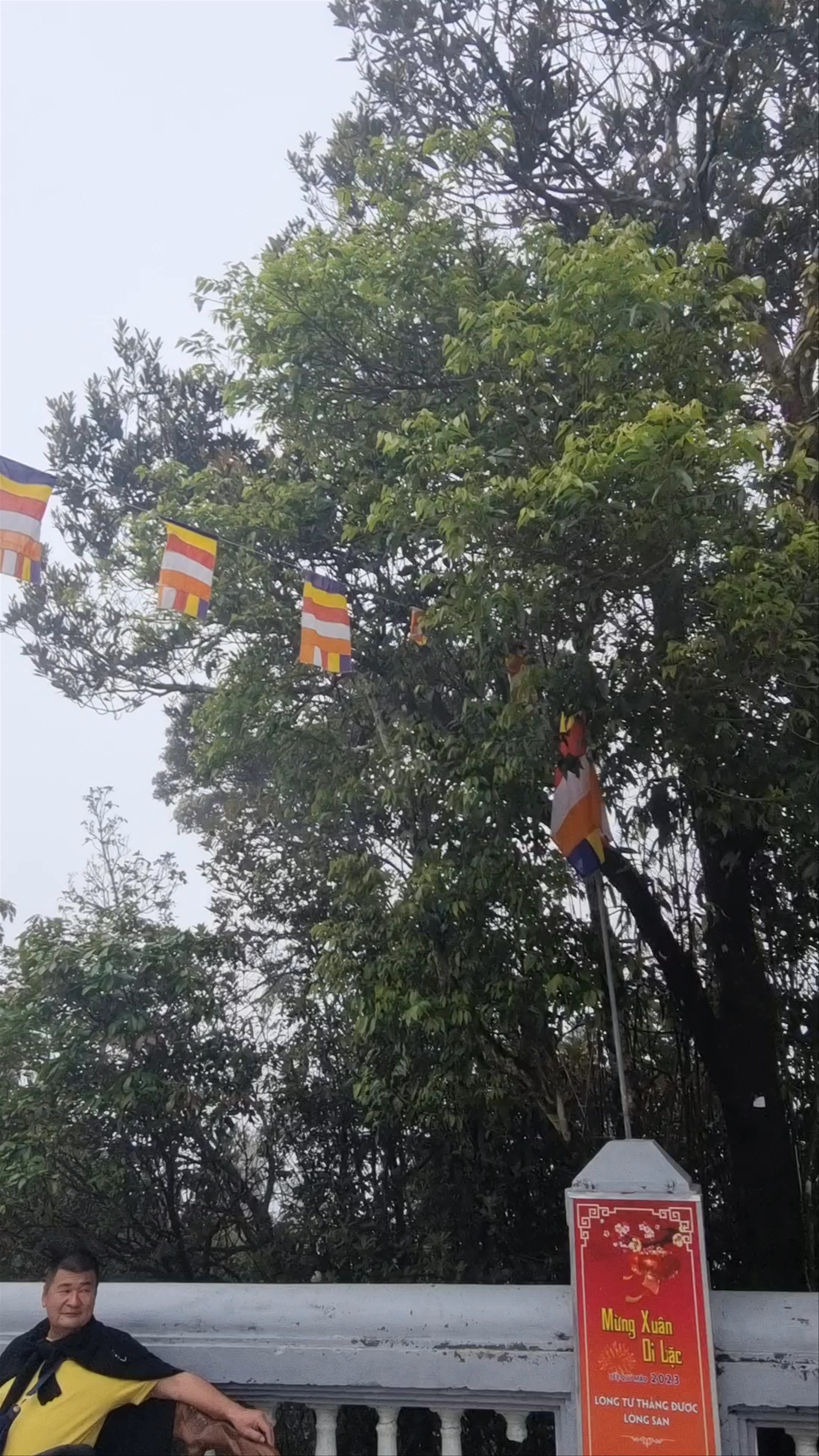 Chùa Linh Ứng - Bà Nà: Spiritual Serenity Above Da Nang