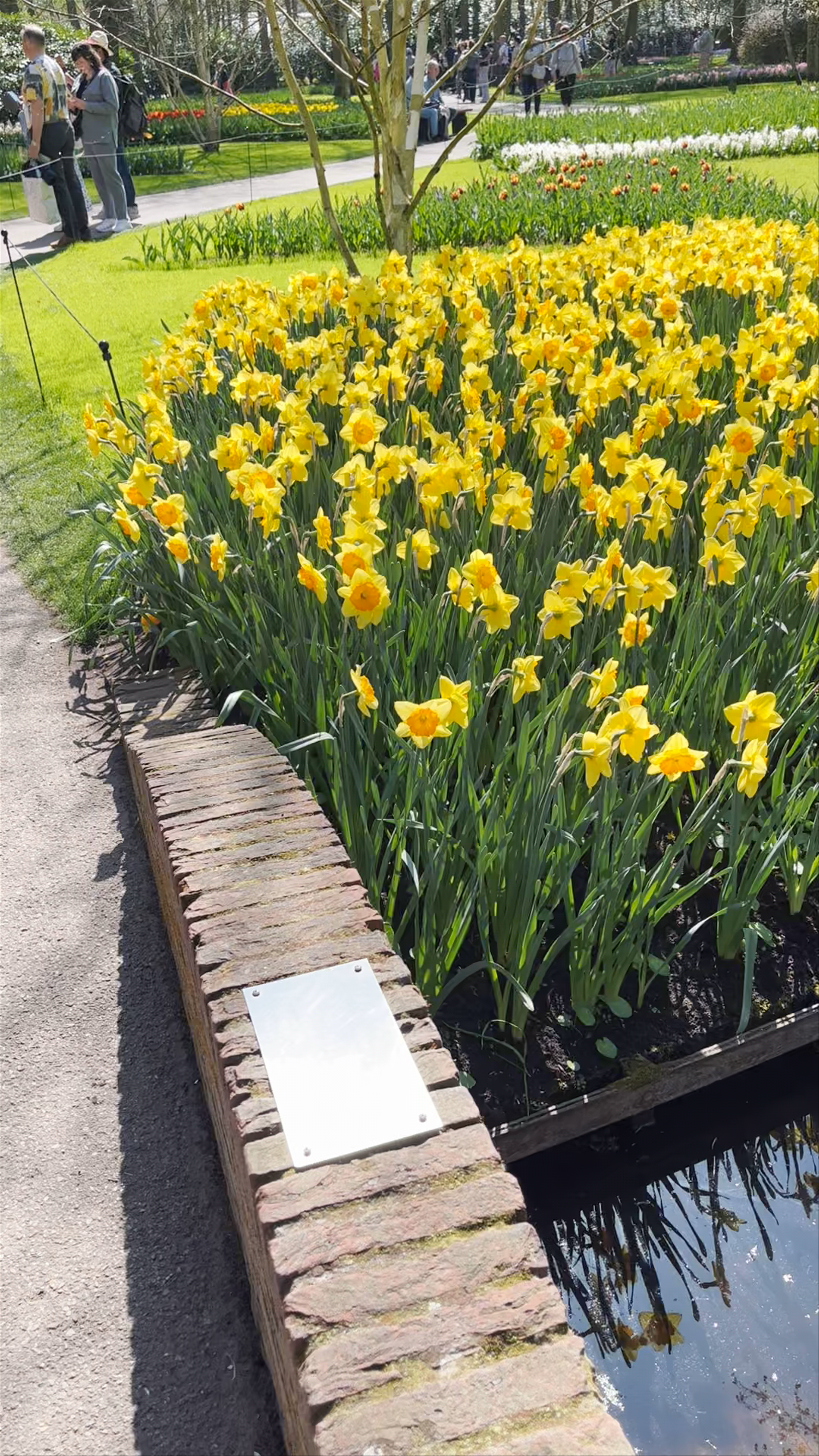 Keukenhof