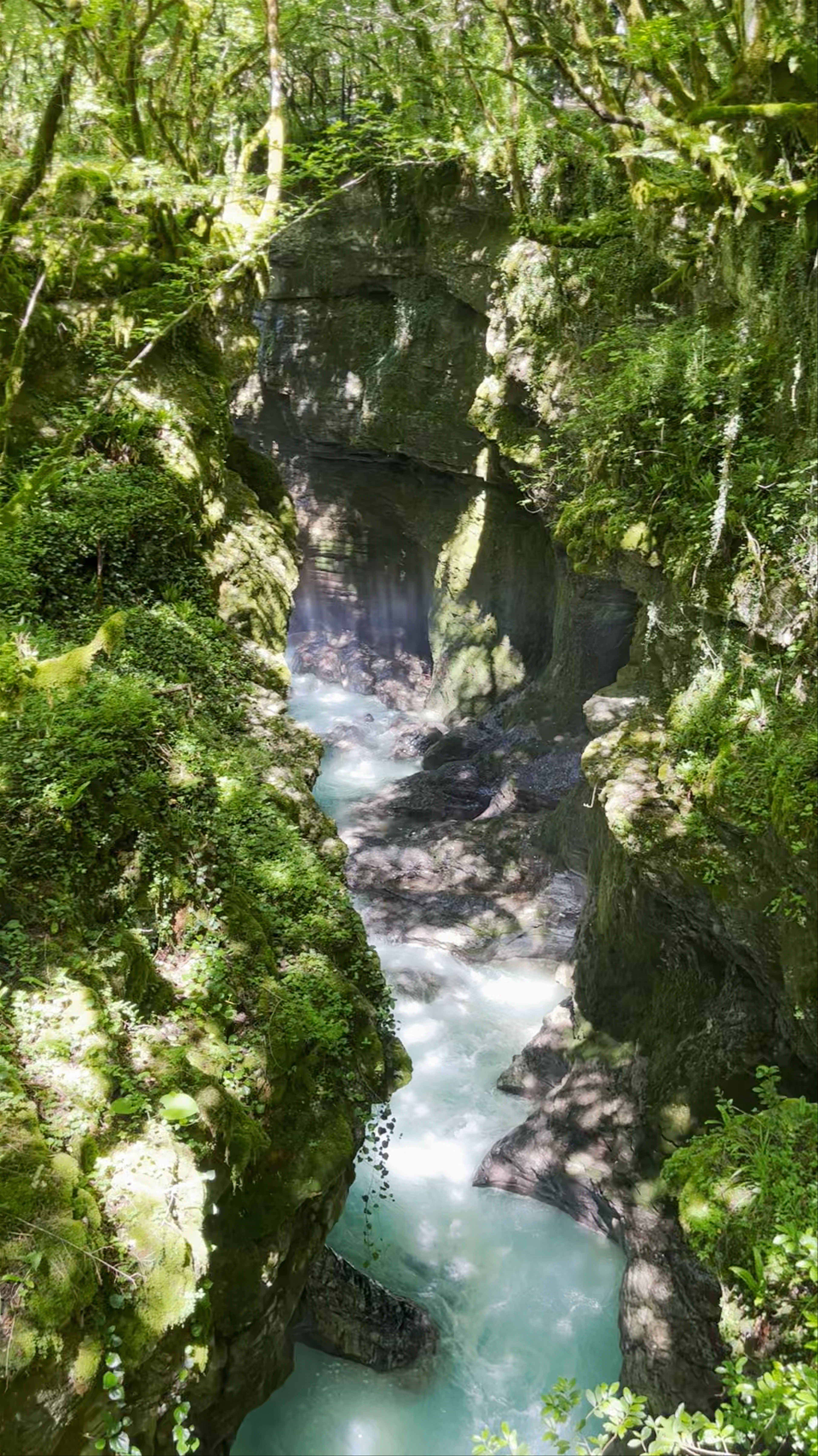 Martvili Canyon Bridge: Serene Wilderness and Emerald Waters in Georgia